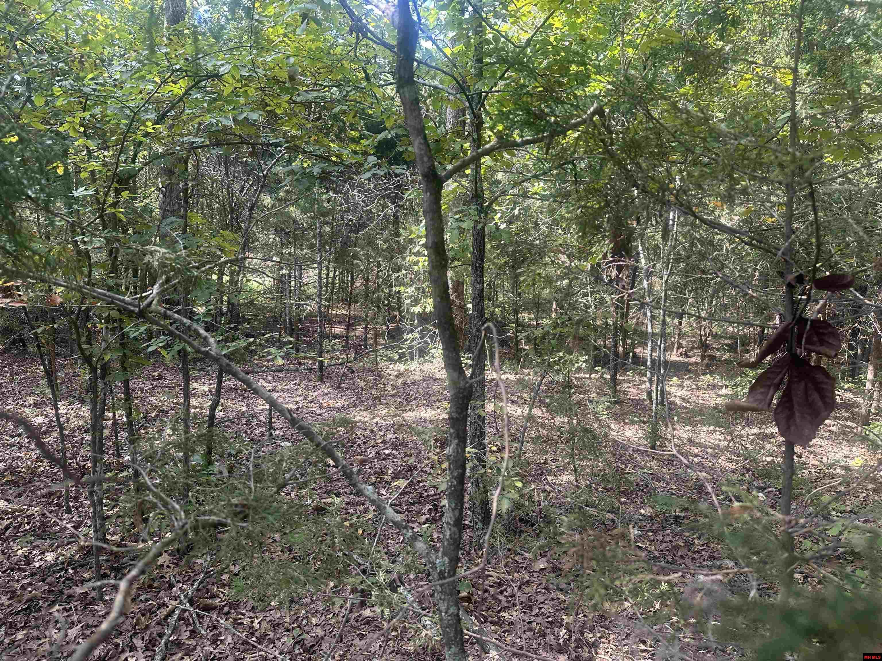 301 W Lansing Avenue