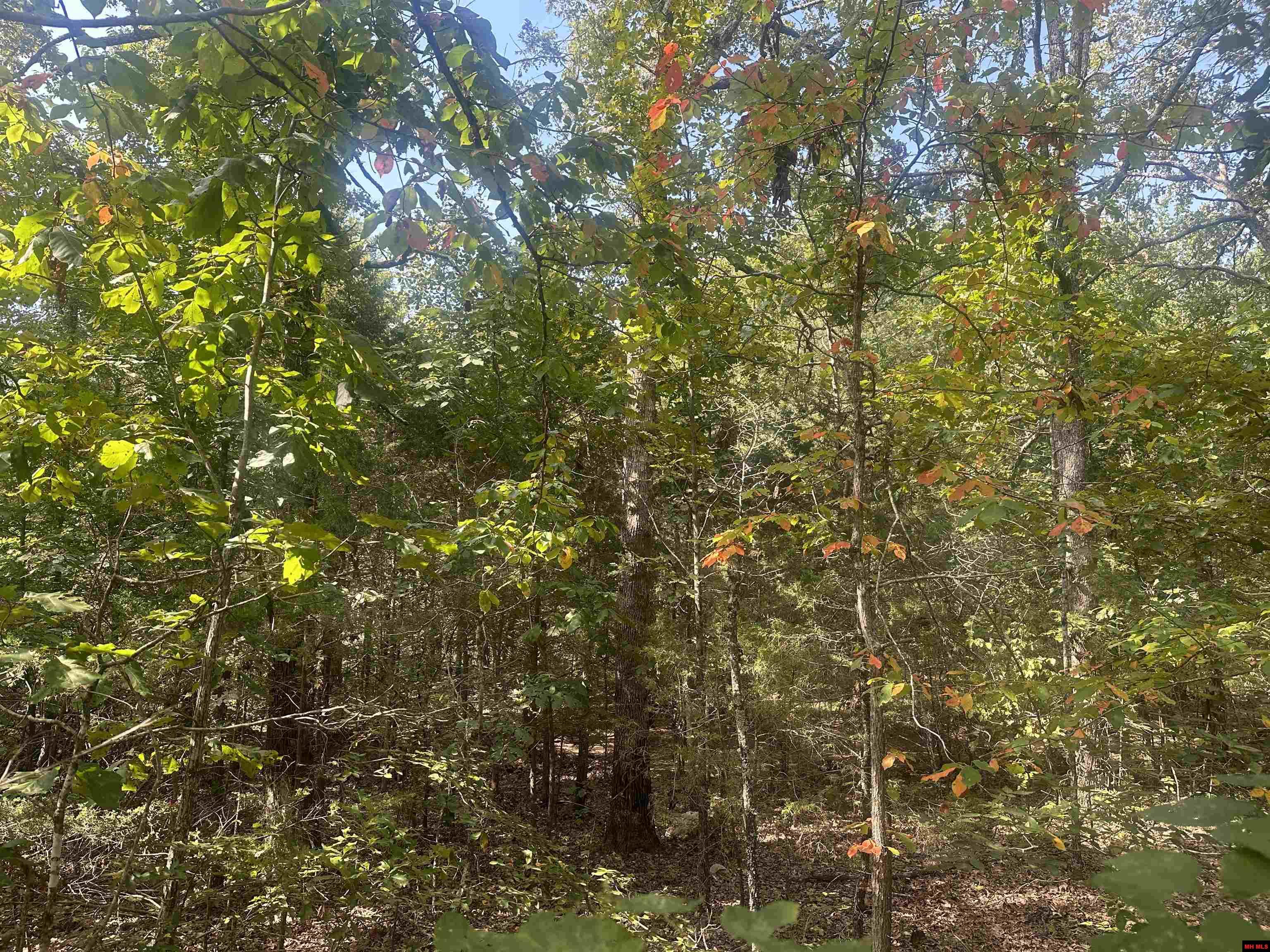 301 W Lansing Avenue