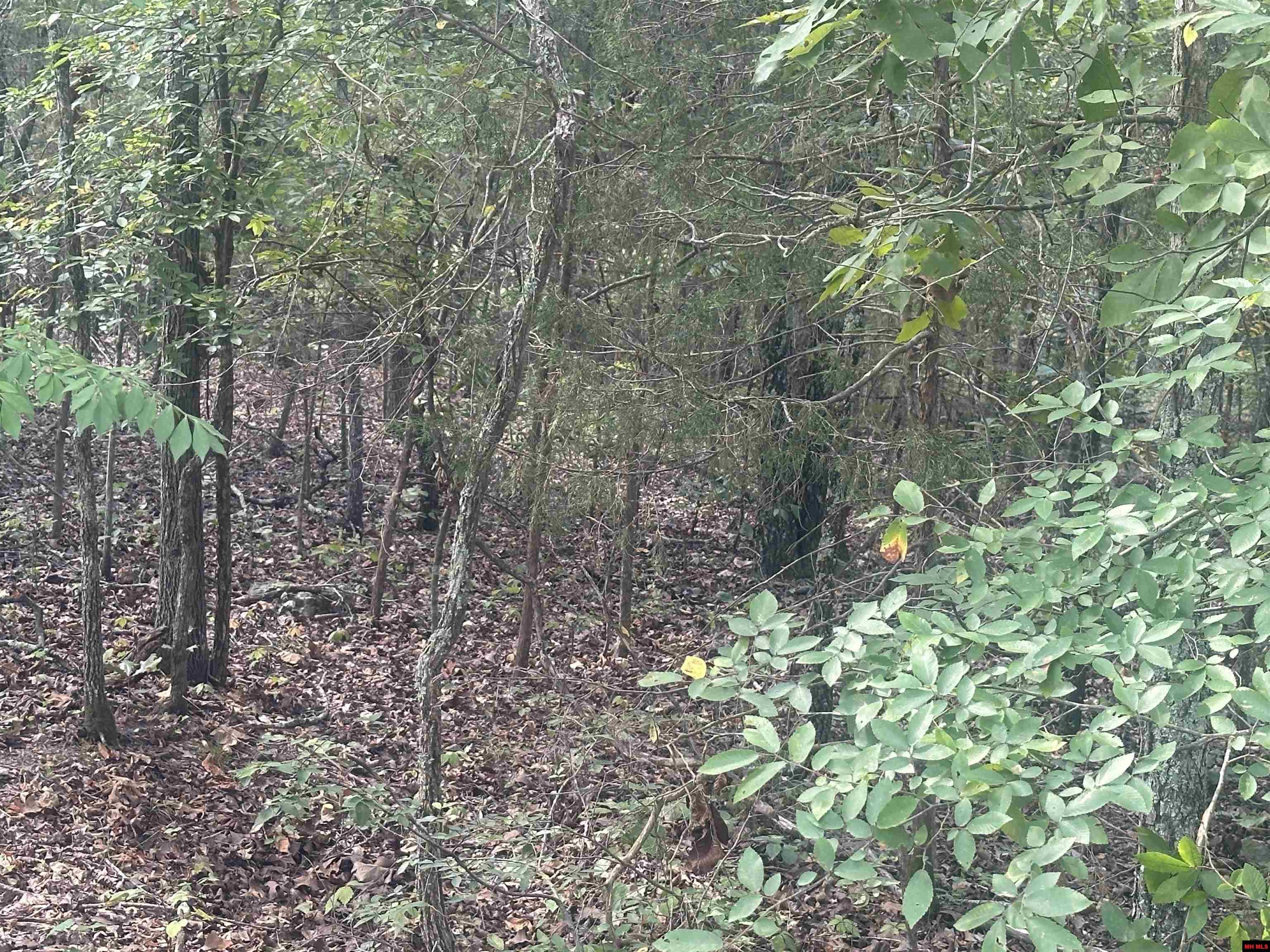 301 W Lansing Avenue