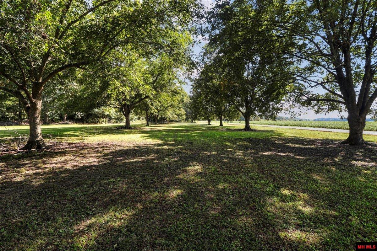 158 Clay 125 Rd Mc 125