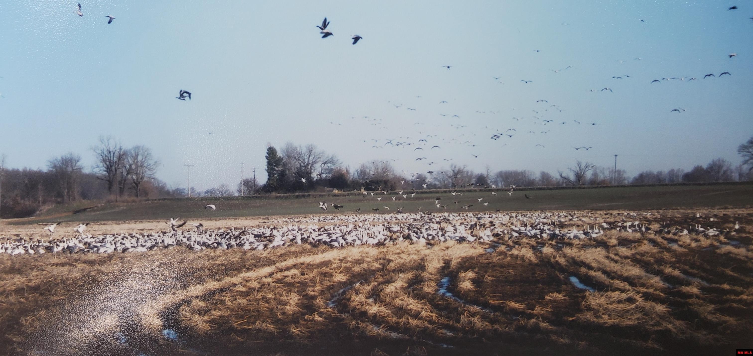 158 Clay 125 Rd Mc 125