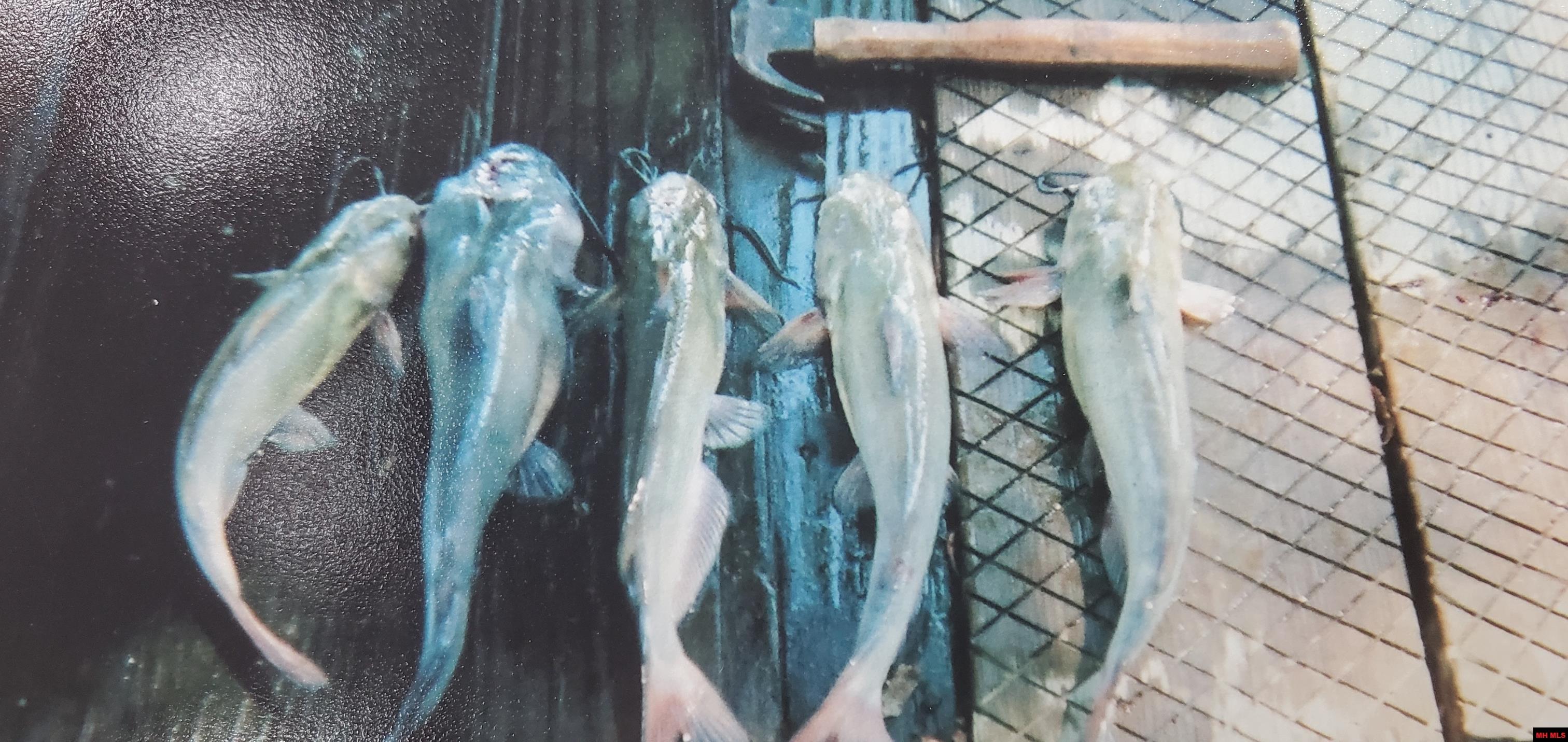 158 Clay 125 Rd Mc 125