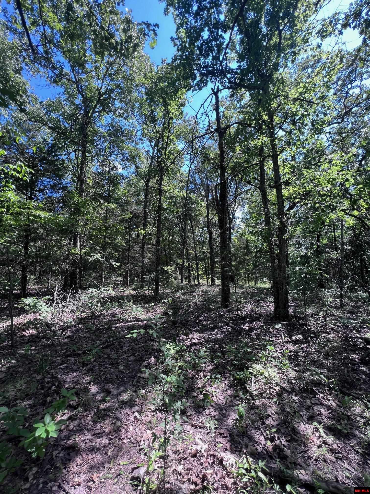 23-0.2-10-000-0 Cr 553a