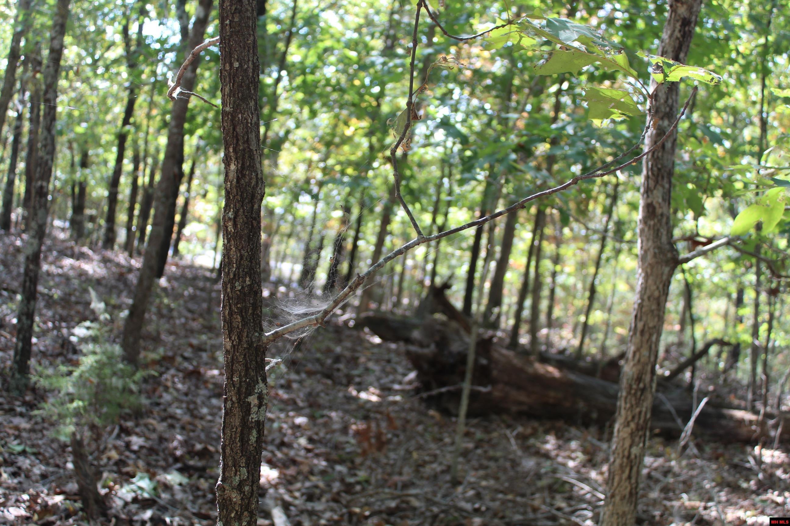 156-00026-000 Blue Lake Drive