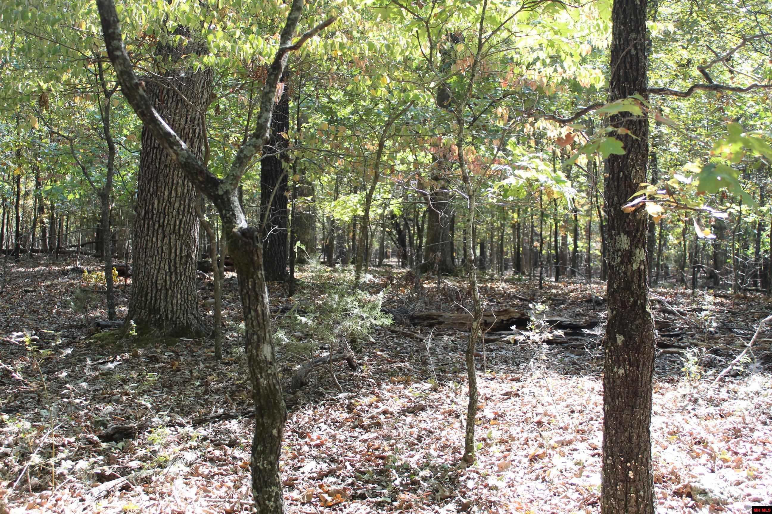 156-00026-000 Blue Lake Drive