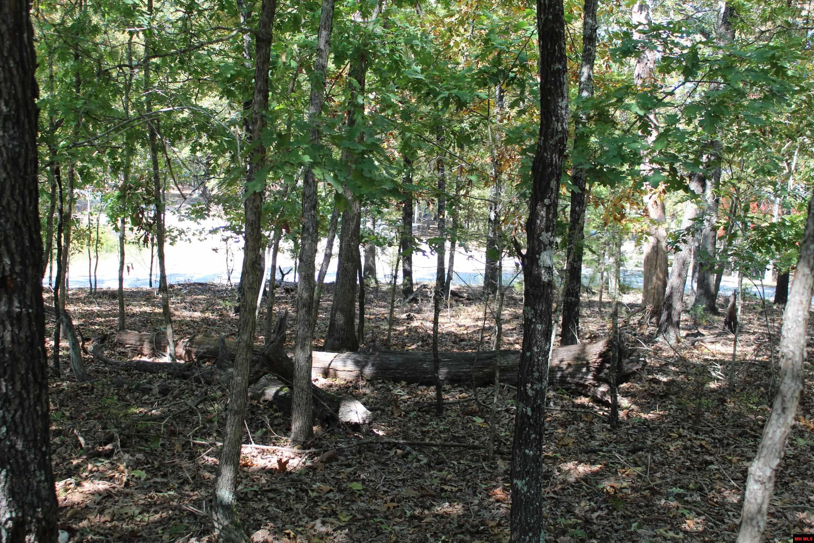 156-00026-000 Blue Lake Drive