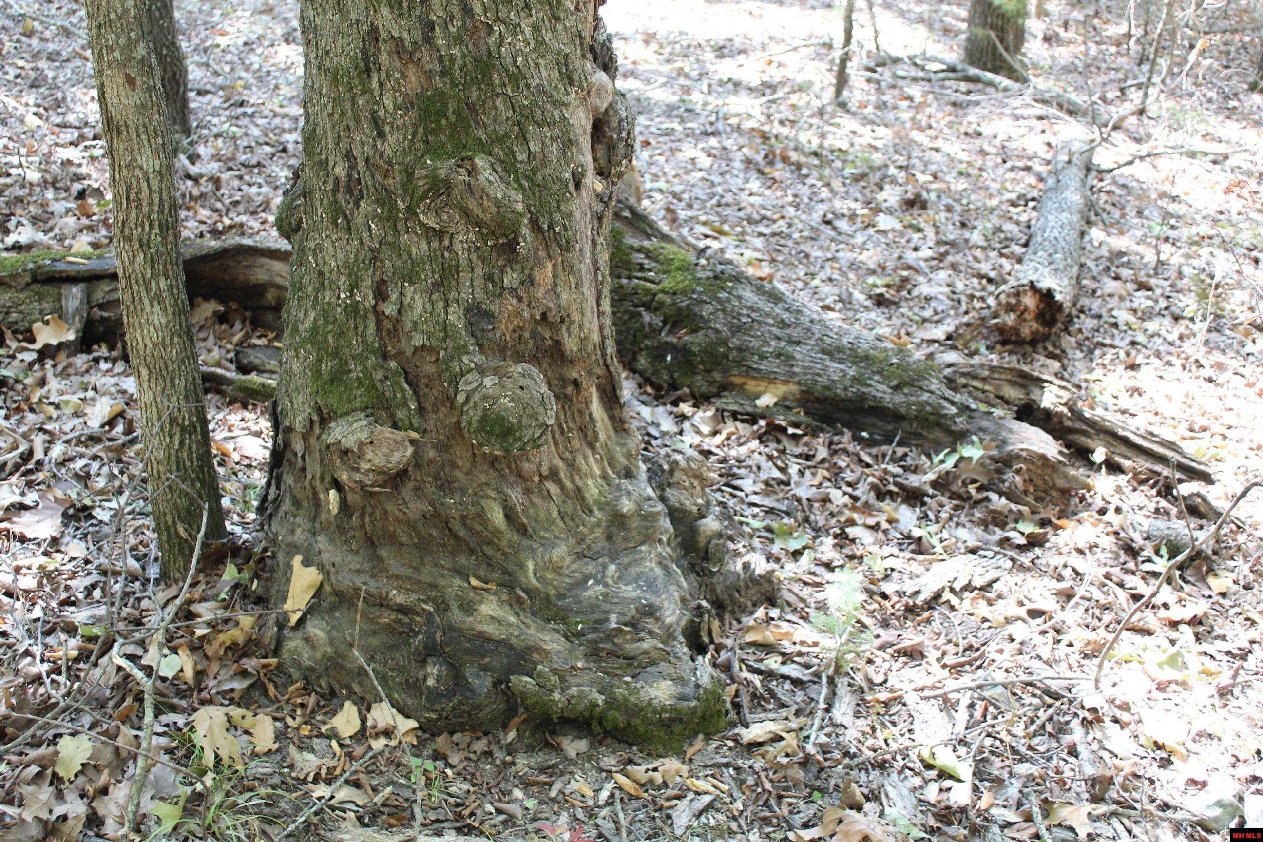 156-00026-000 Blue Lake Drive