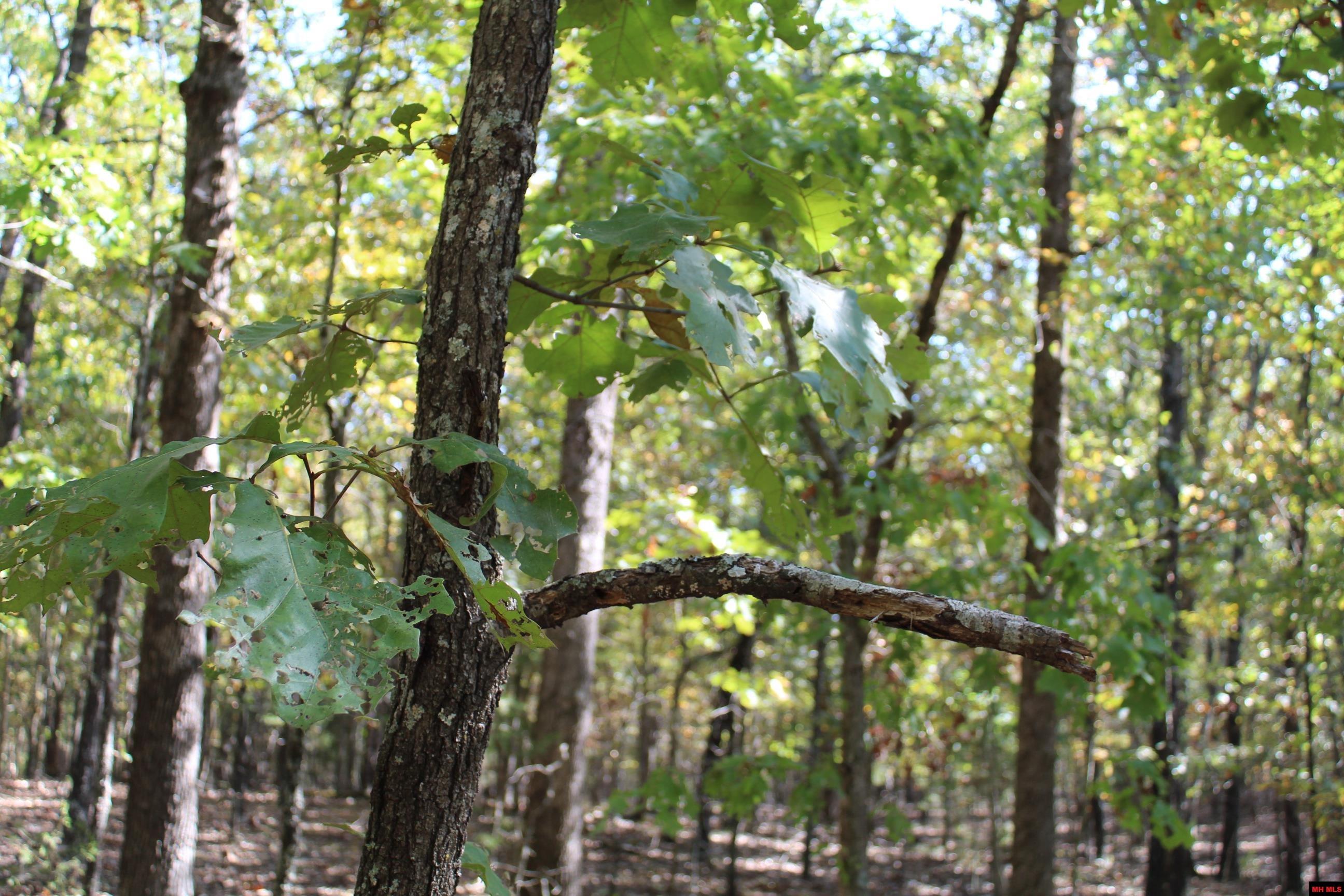 156-00026-000 Blue Lake Drive