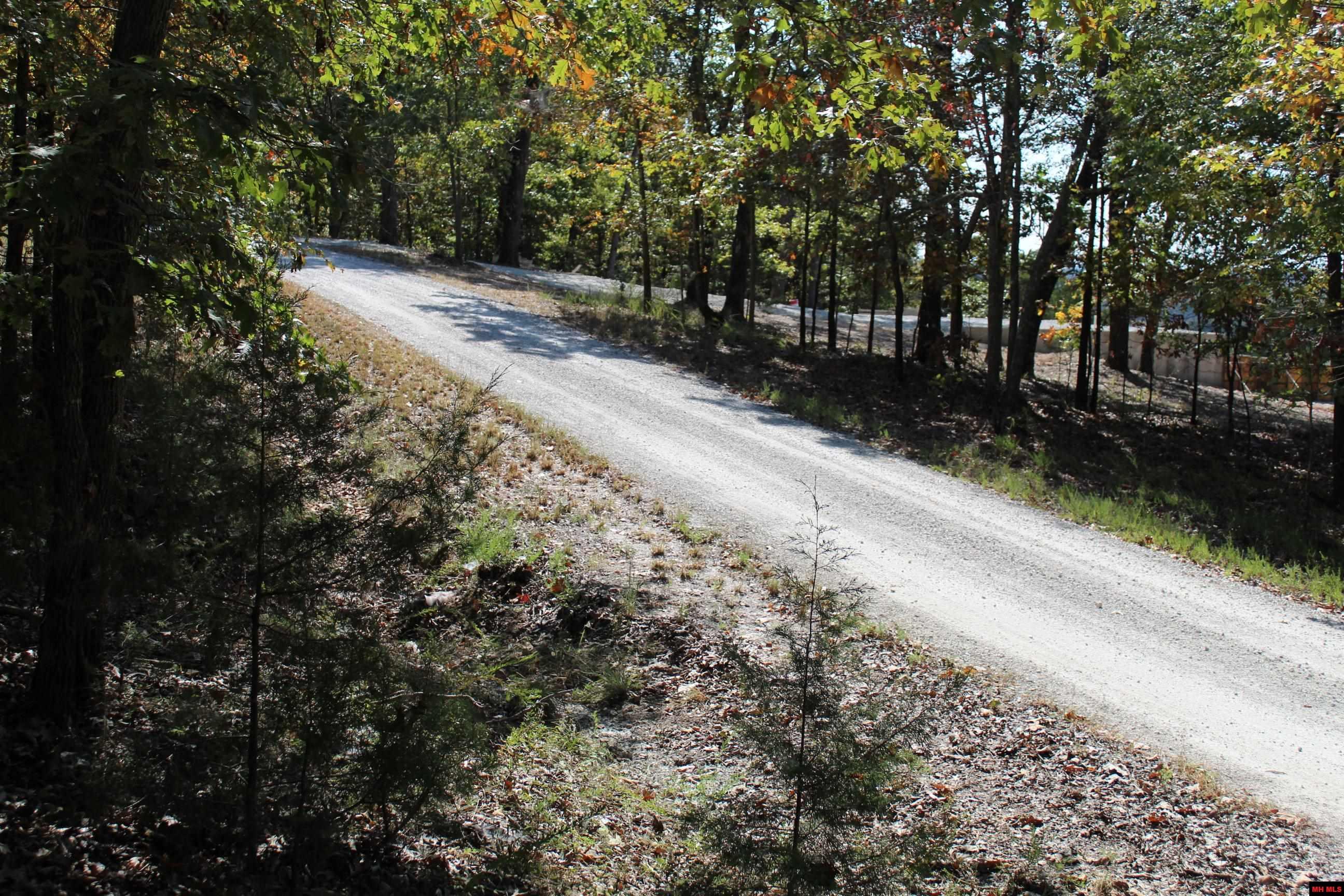 156-00026-000 Blue Lake Drive