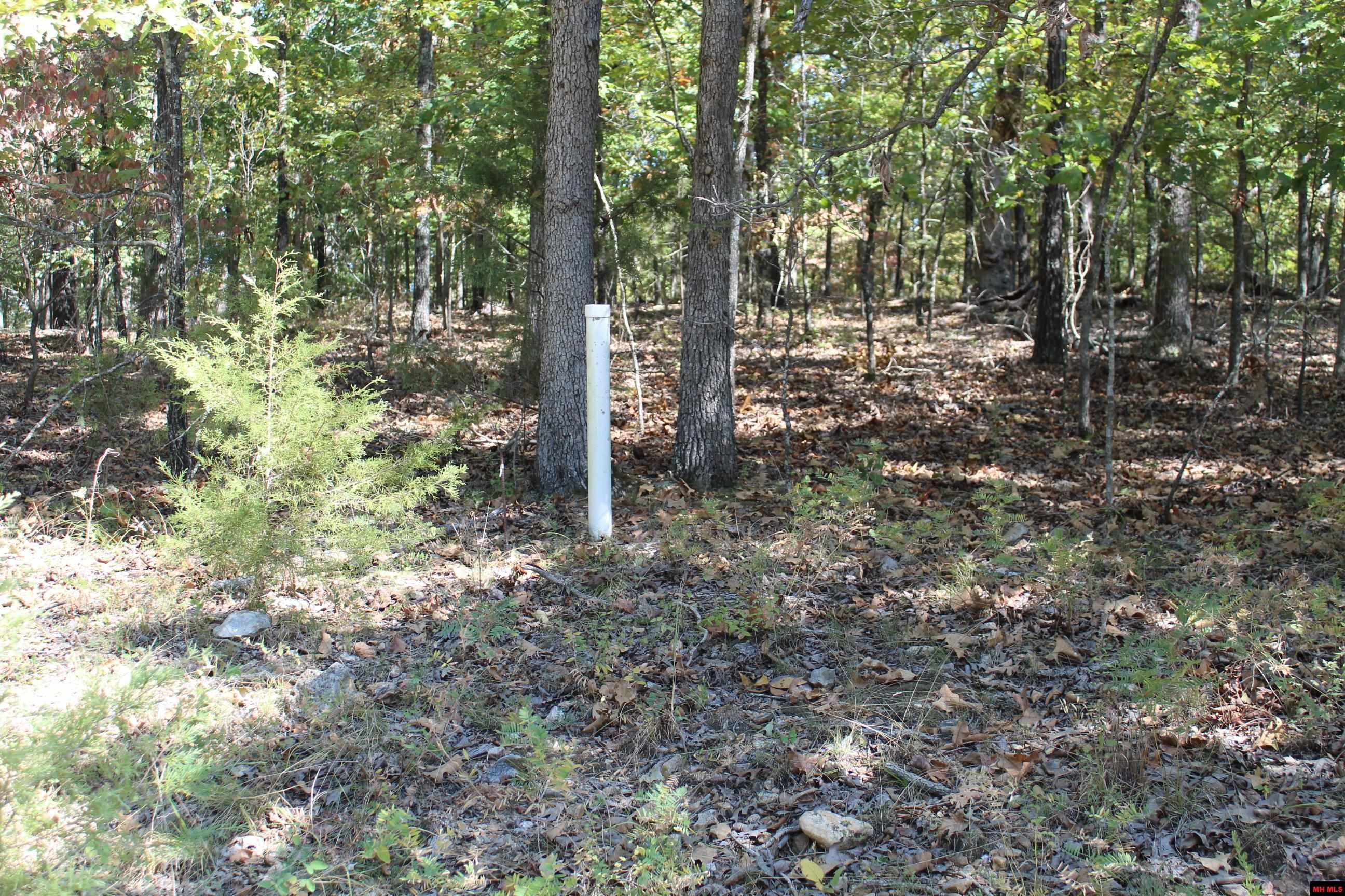 156-00026-000 Blue Lake Drive