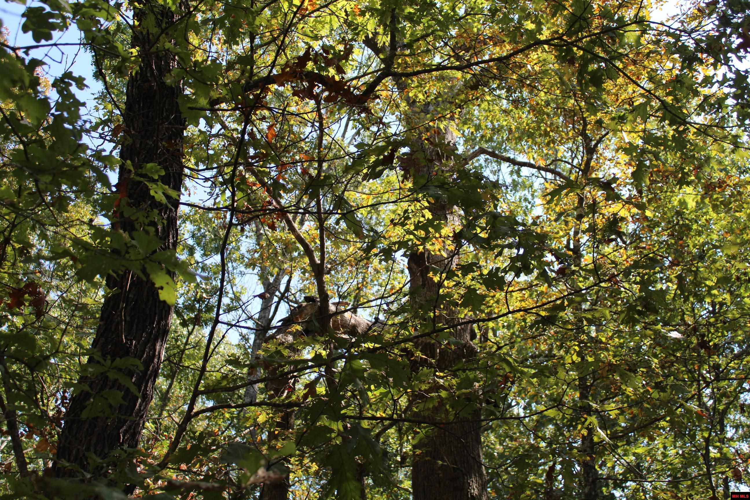 156-00026-000 Blue Lake Drive