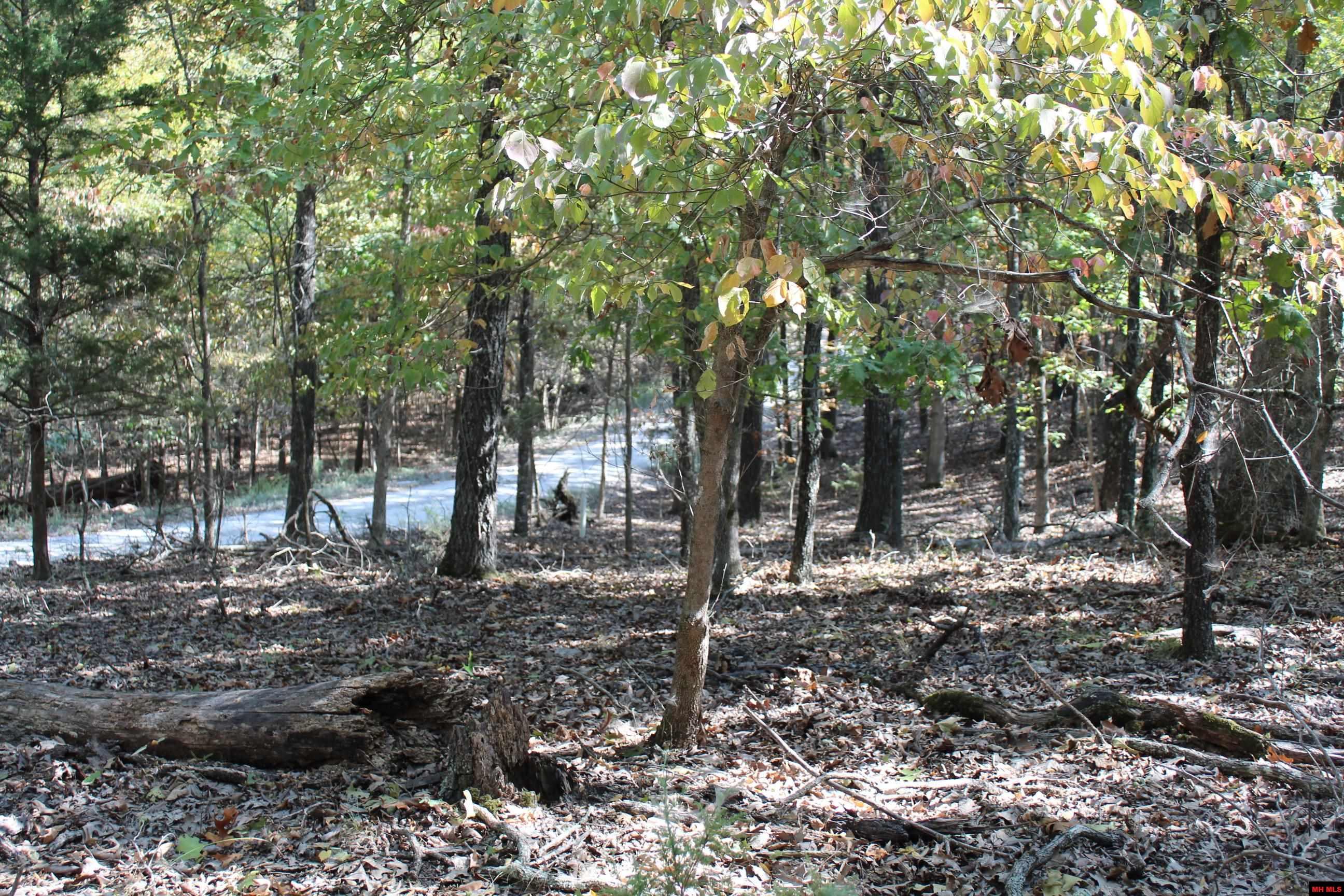 156-00026-000 Blue Lake Drive