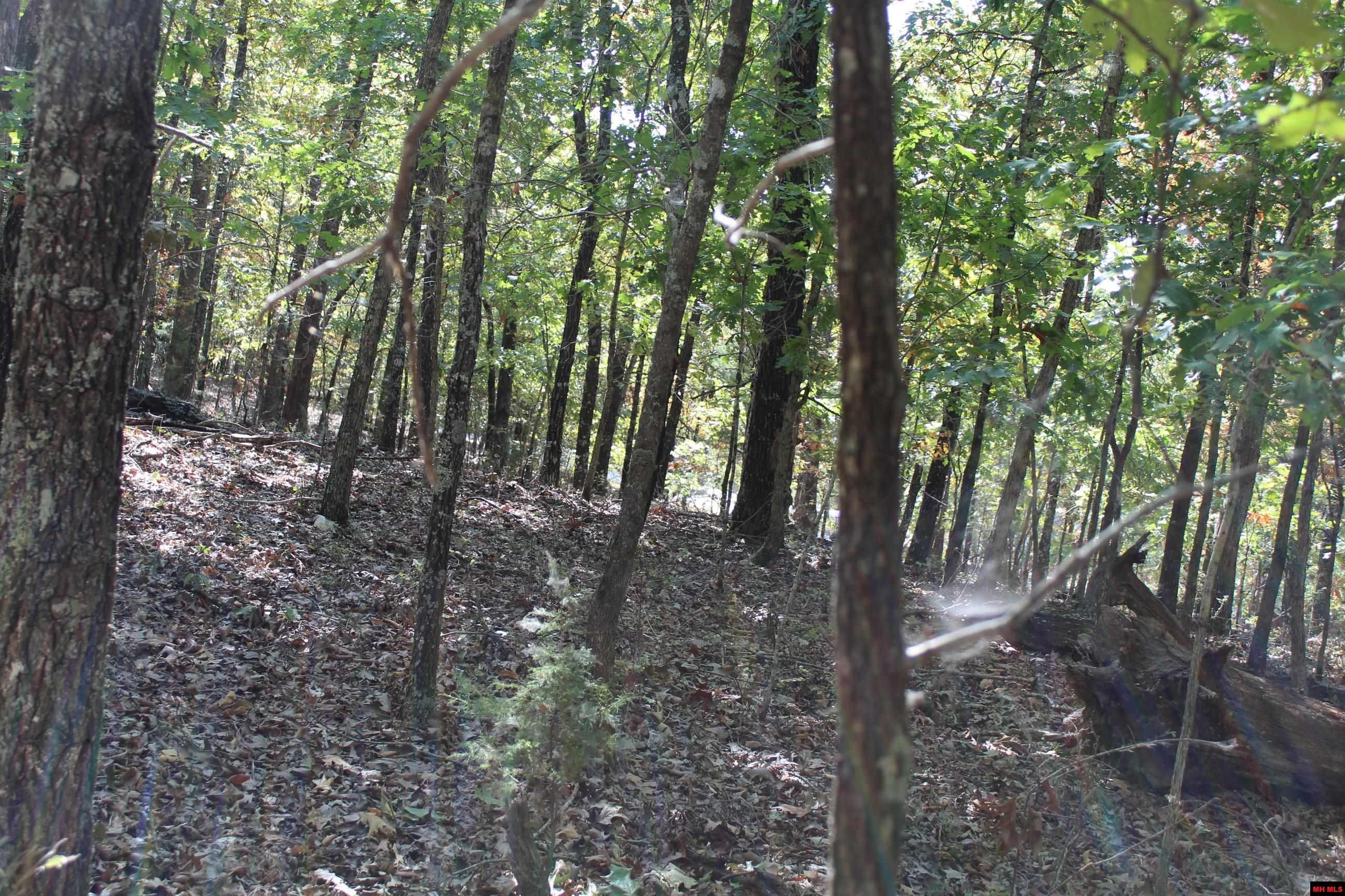 156-00026-000 Blue Lake Drive