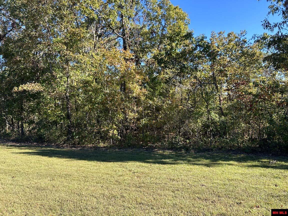 Lot 7 RIVER RIDGE ROAD Norfork, AR