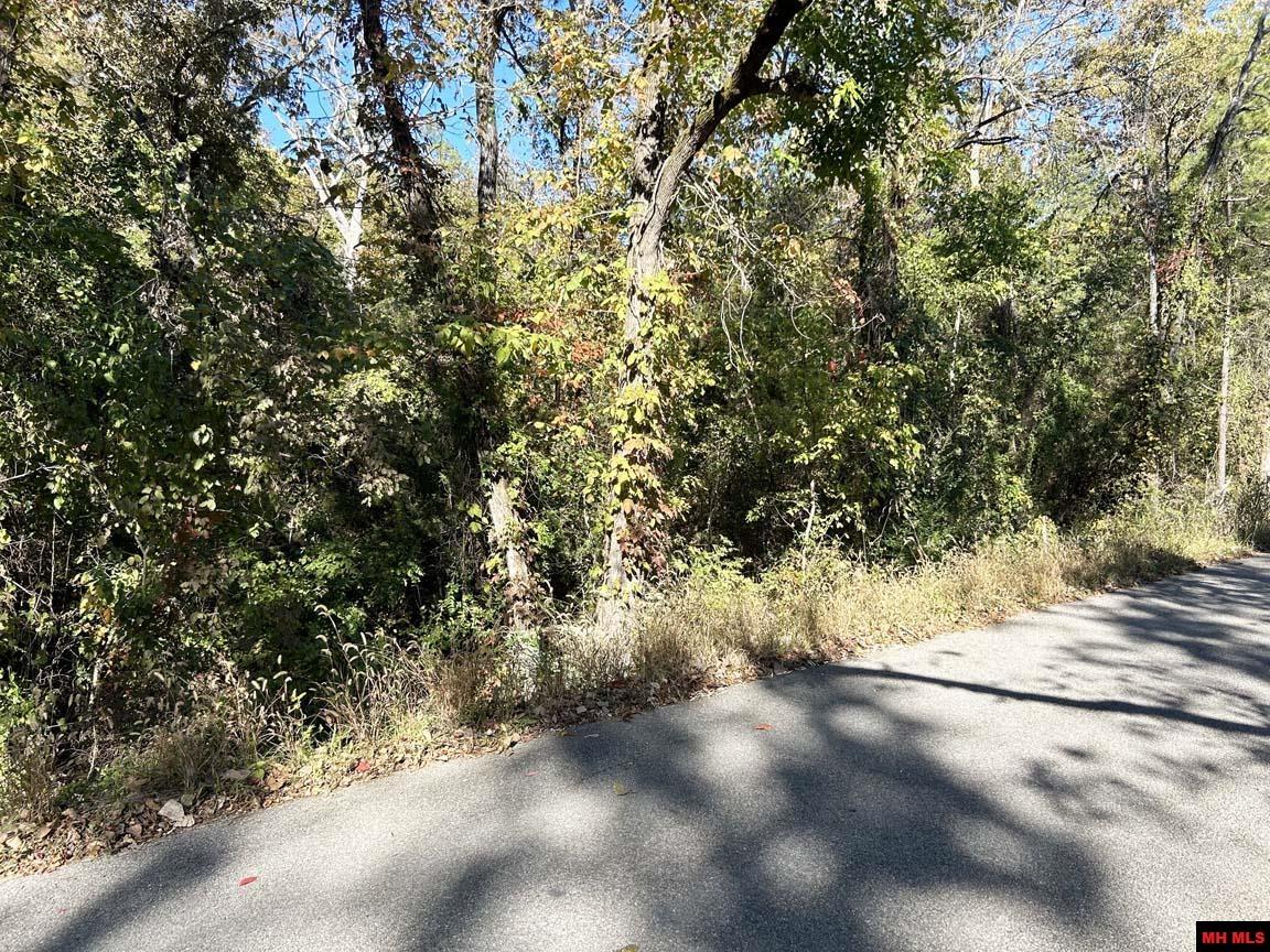 Lot 7 RIVER RIDGE ROAD Norfork, AR