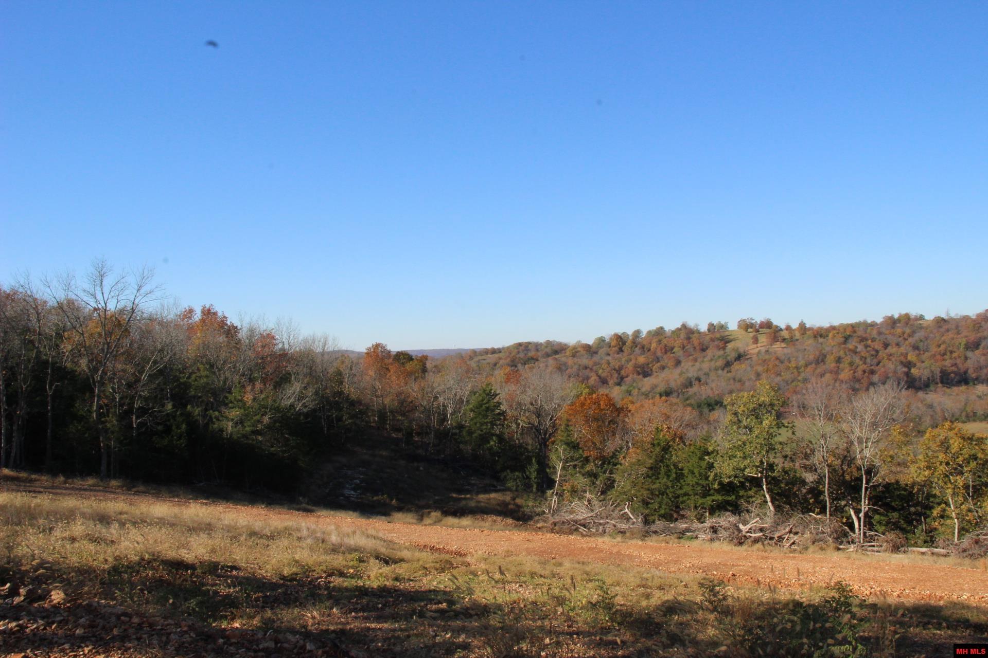 001-08869-000 Mc 8118