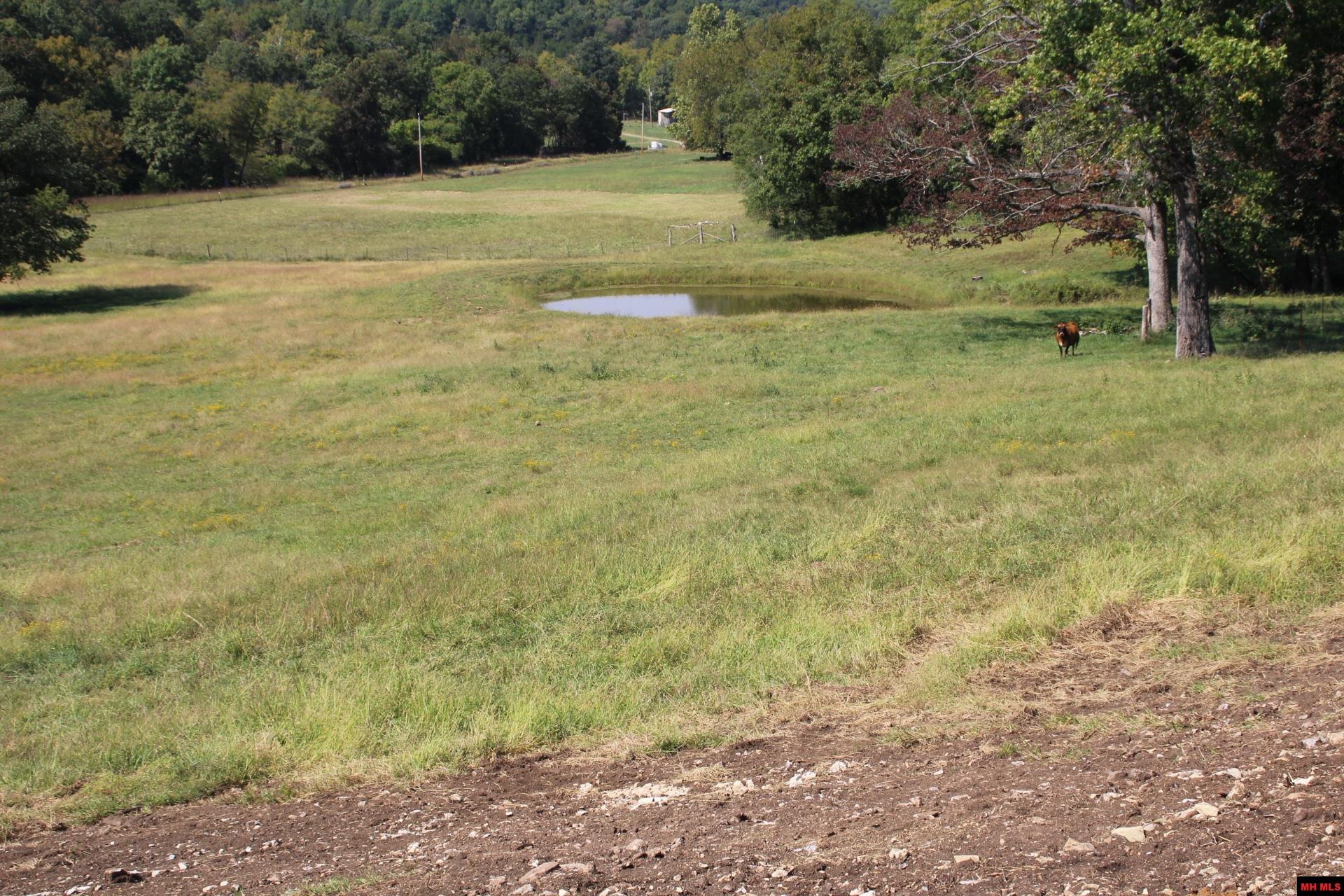 001-08869-000 Mc 8118