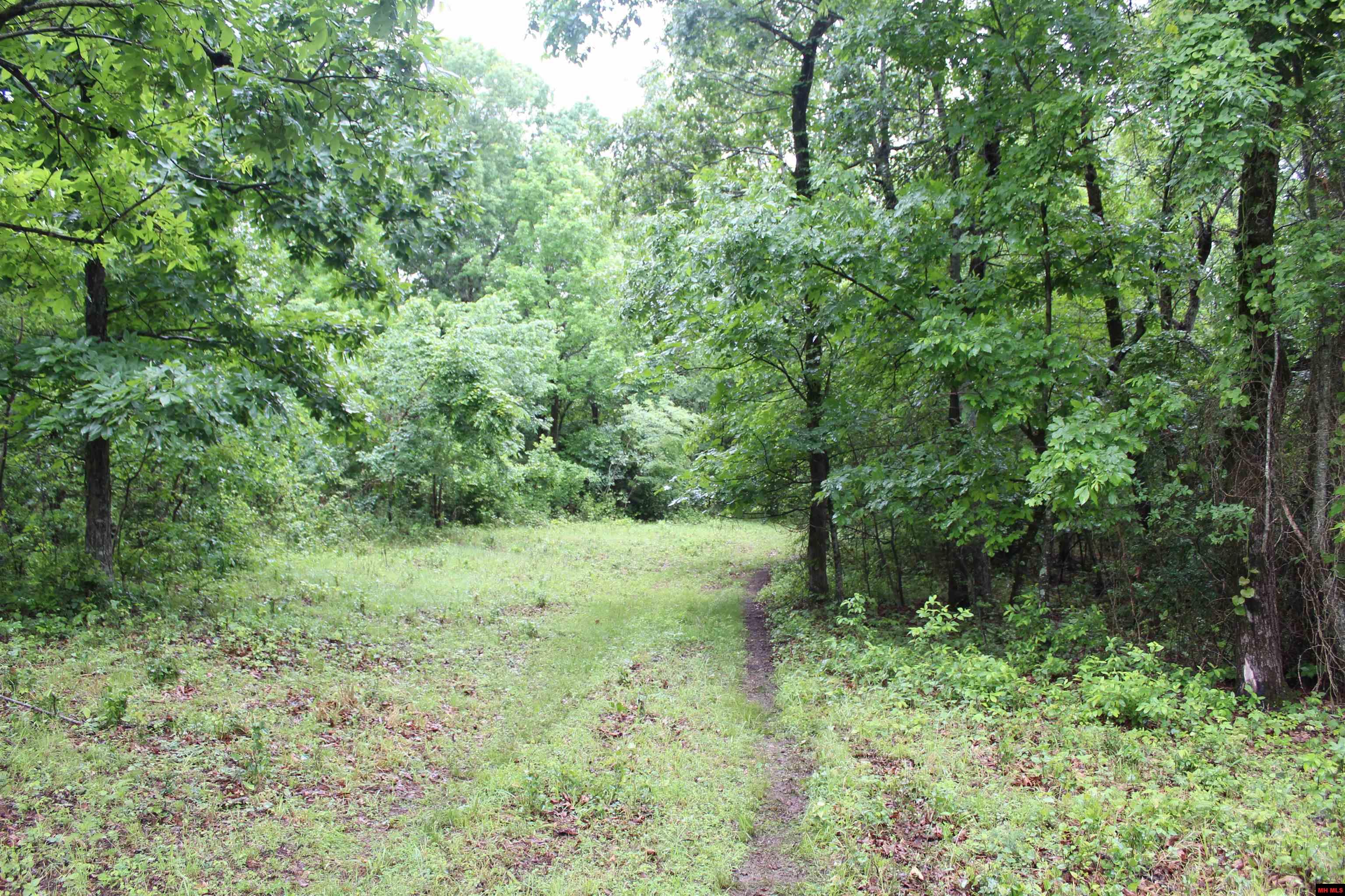 001-08869-000 Mc 8118