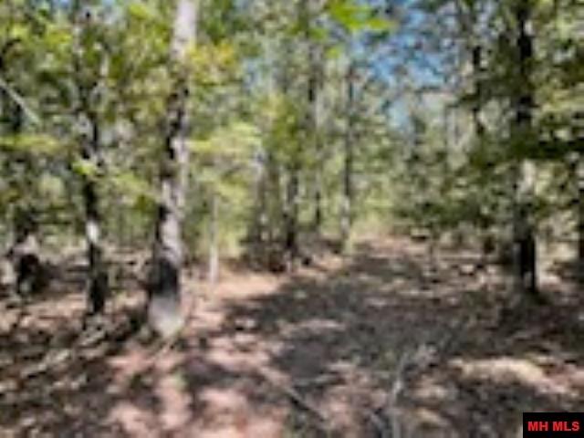 Lot 7 Timber Shoals Road