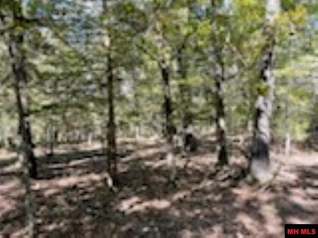 Lot 7 Timber Shoals Road