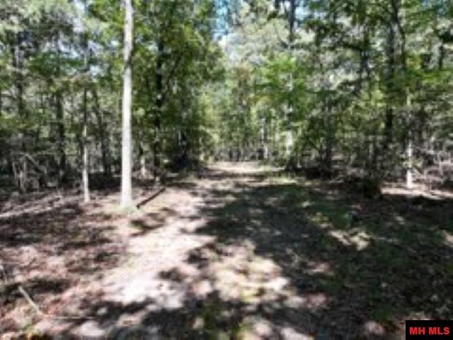 Lot 7 Timber Shoals Road