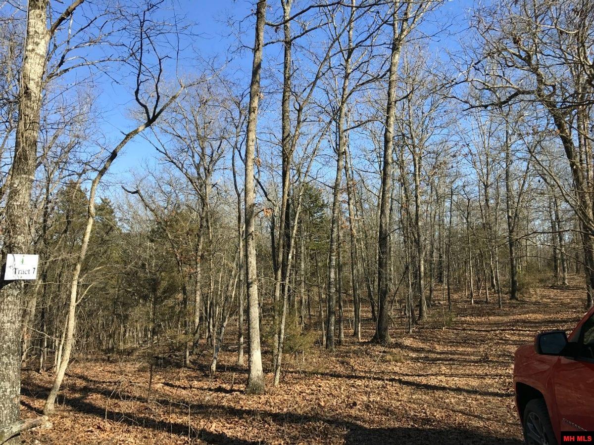 Lot 7 Timber Shoals Road