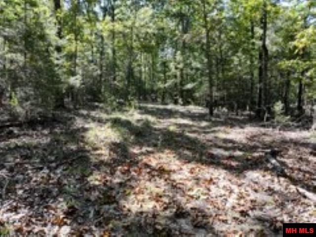 Lot 7 Timber Shoals Road