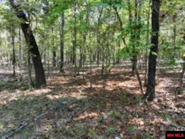Lot 7 Timber Shoals Road