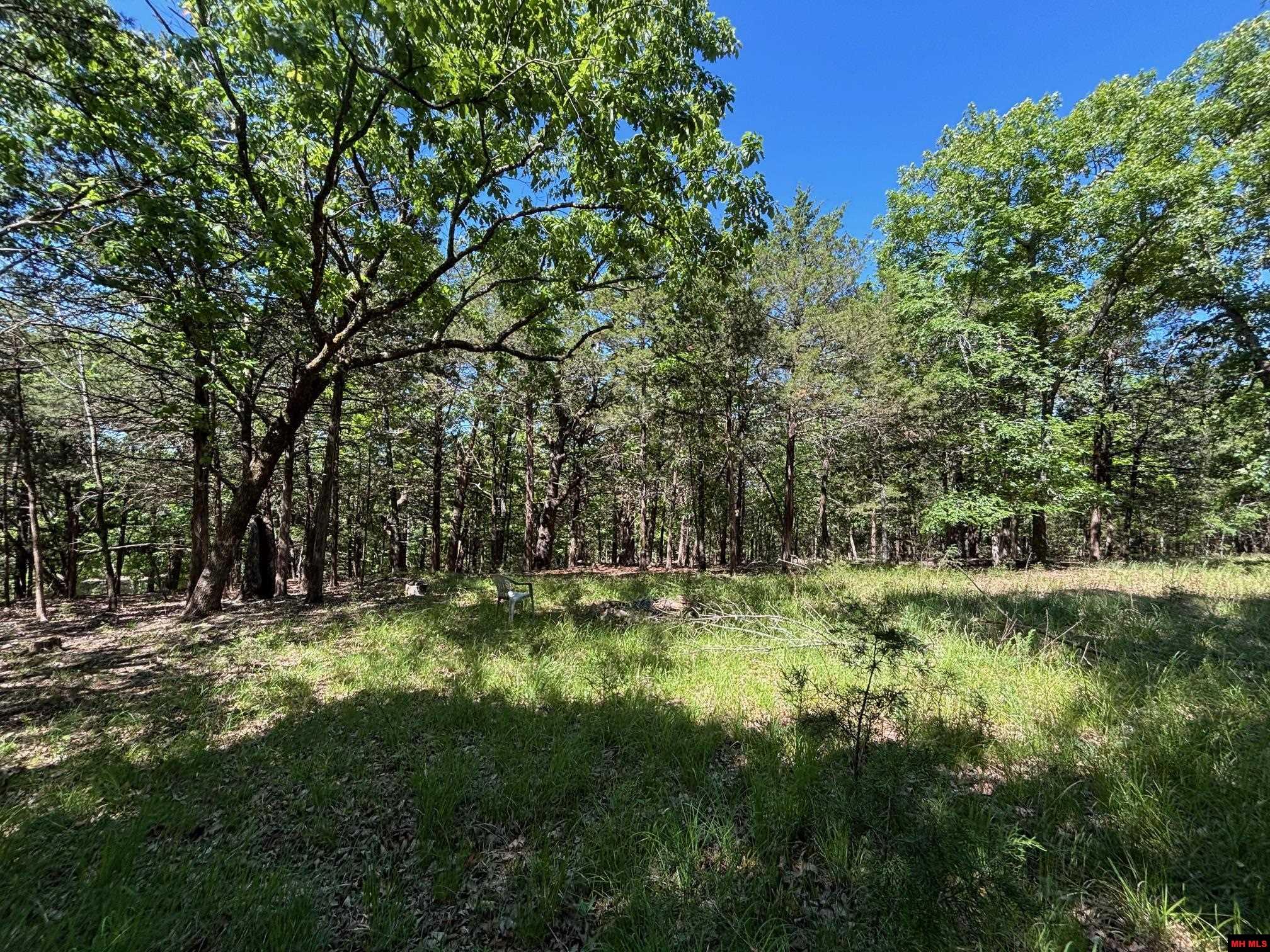 Lot 1-4 MC 131 | Oakland, AR
