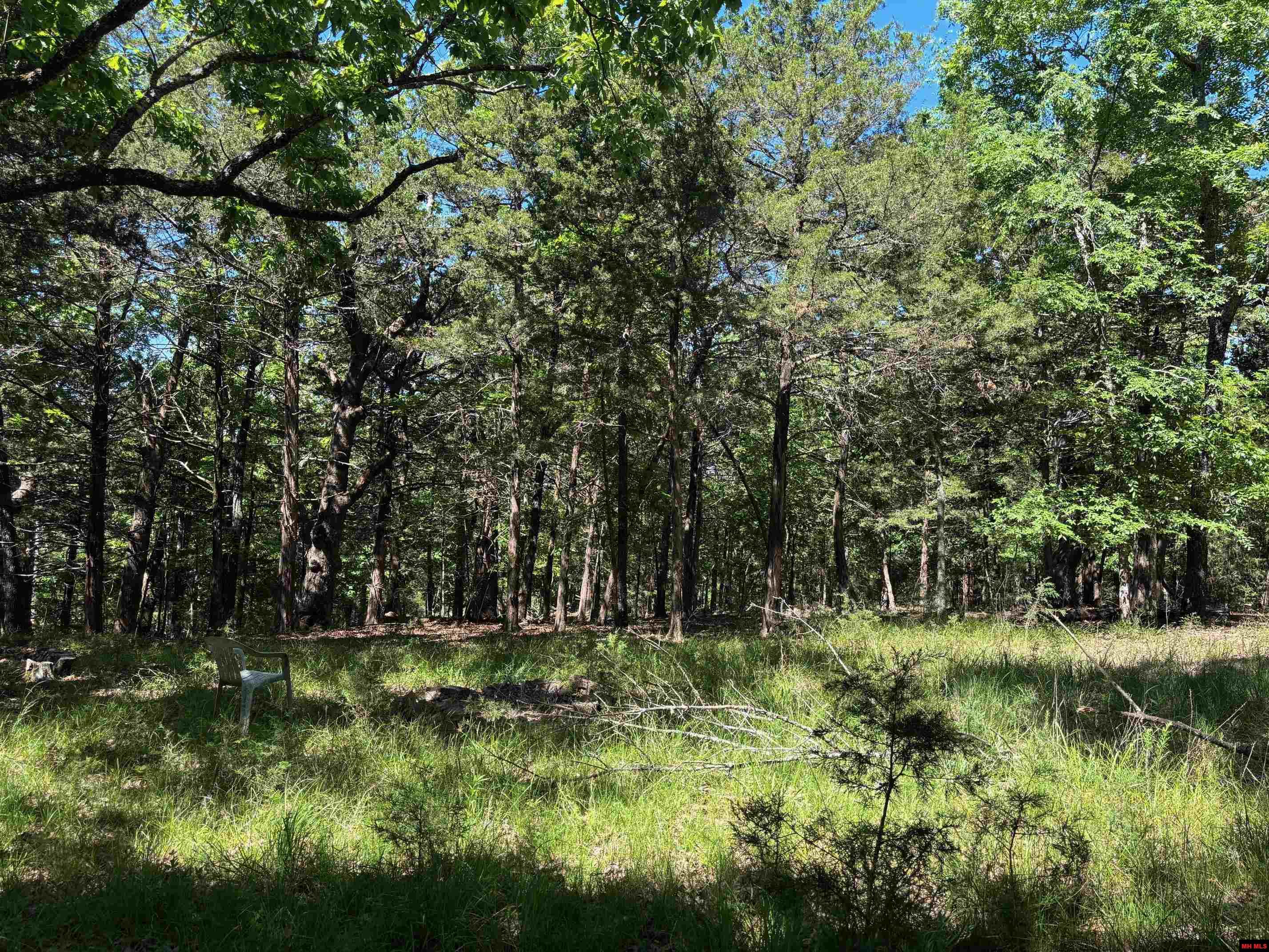 Lot 1-4 MC 131 Oakland, AR