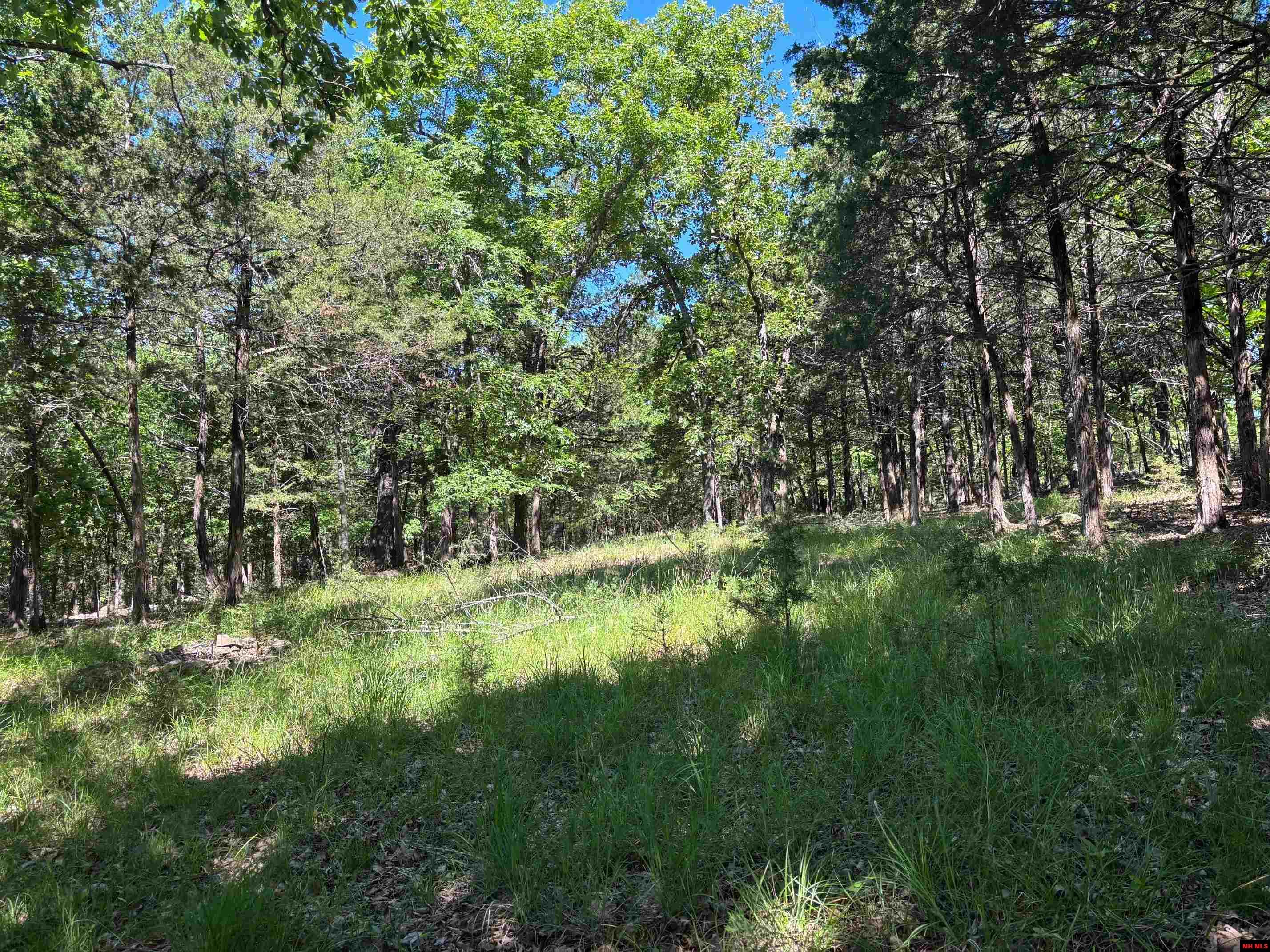 Lot 1-4 MC 131 Oakland, AR