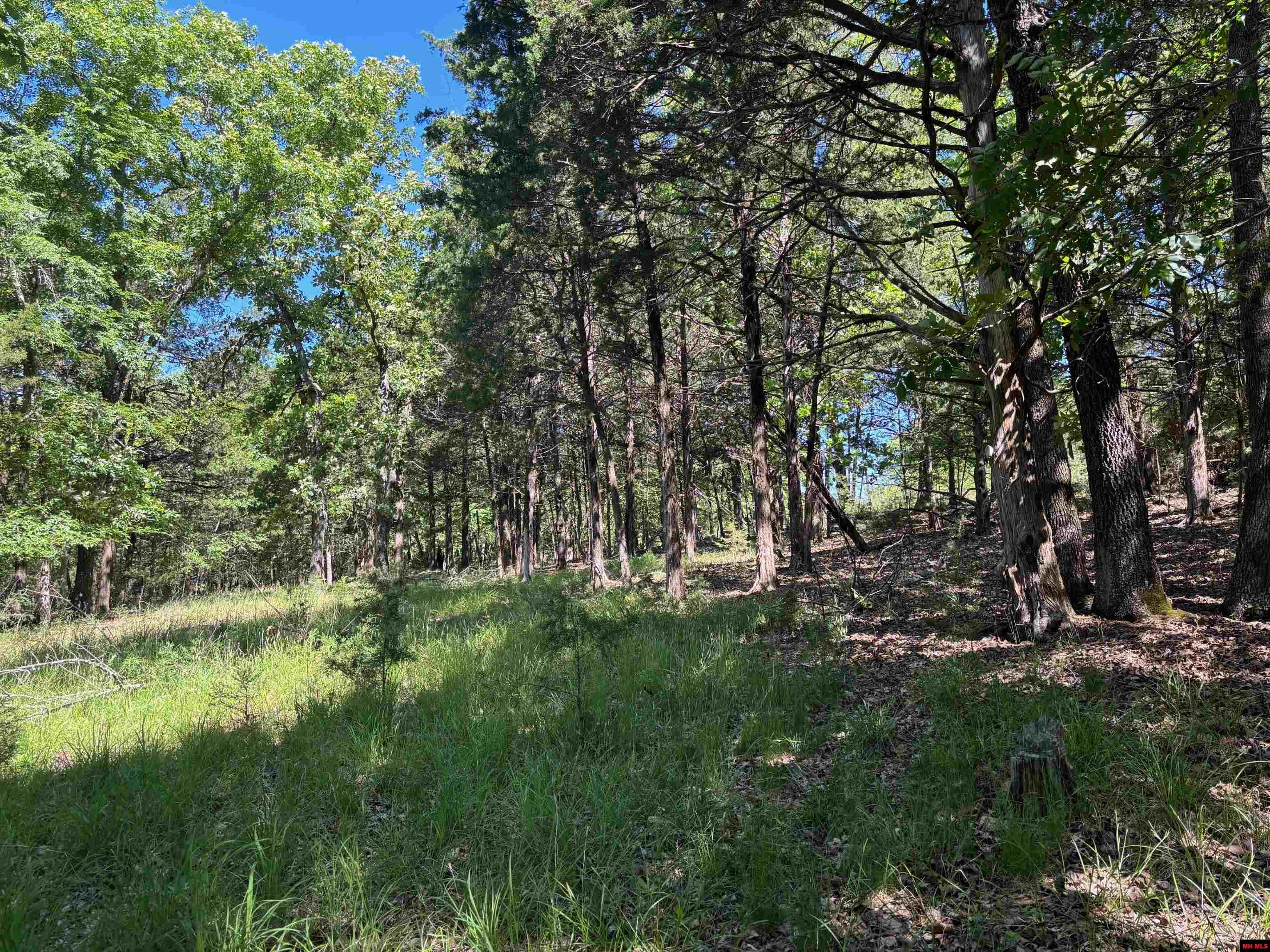 Lot 1-4 MC 131 Oakland, AR