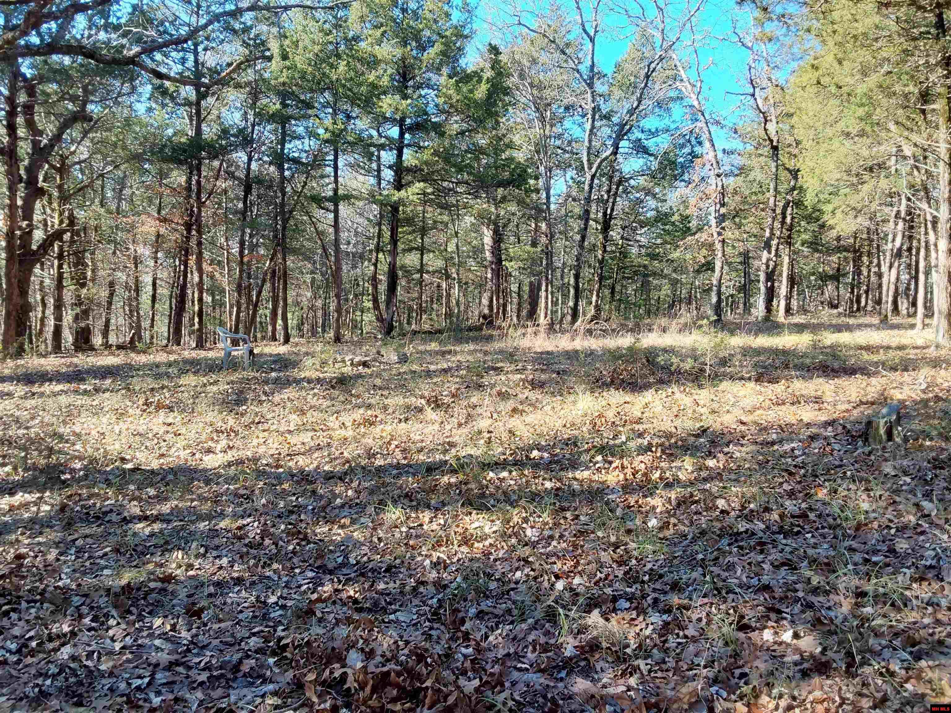 Lot 1-4 MC 131 Oakland, AR