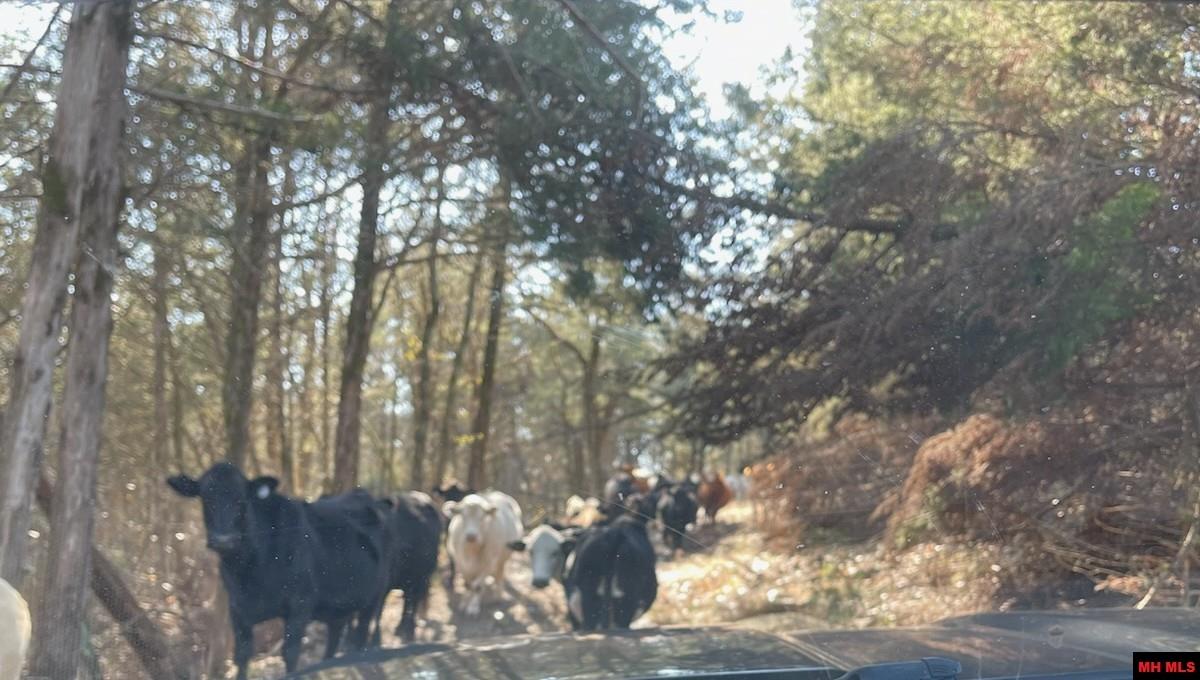 170614000000008 Hwy 160