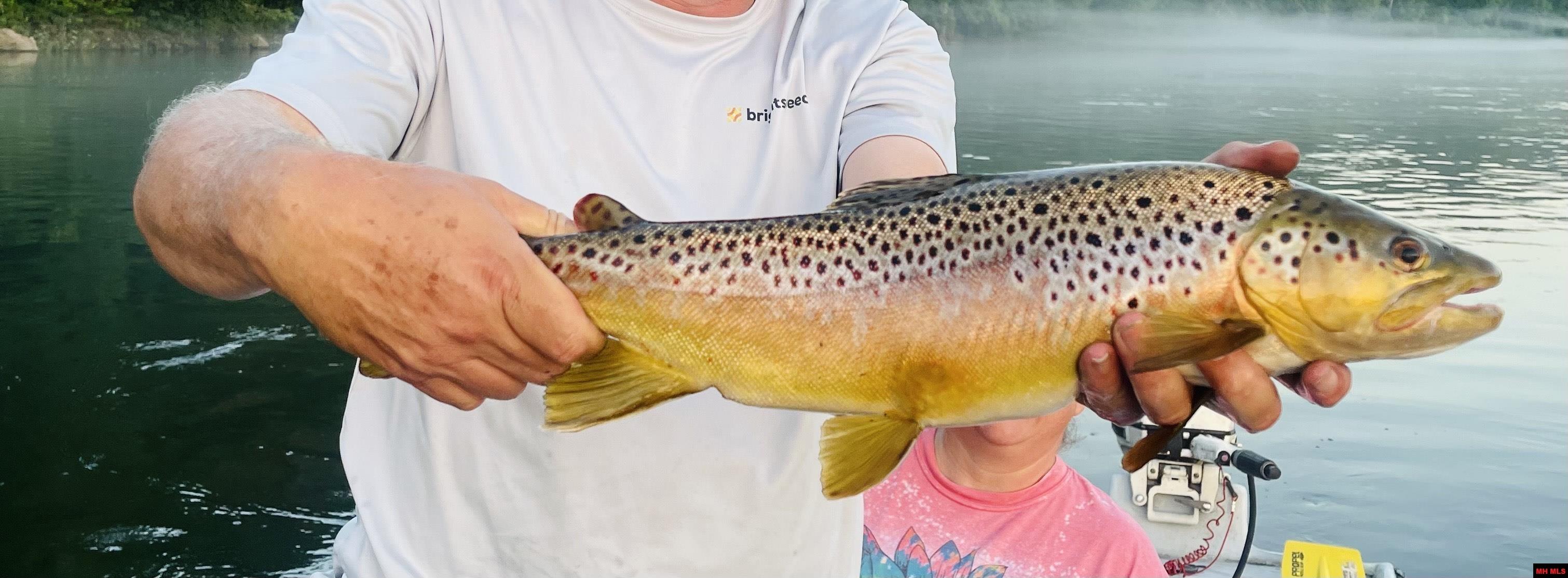 7755 Push Mountain Road