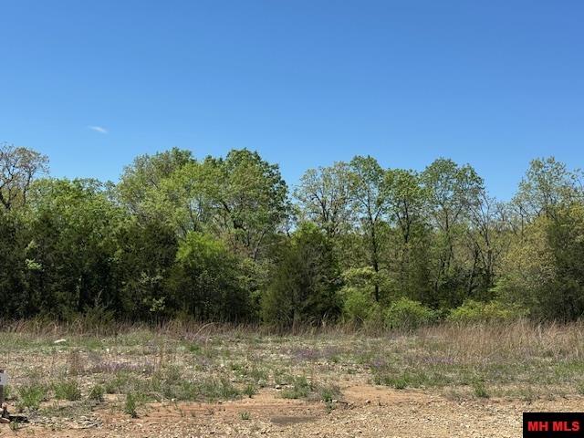 Tract 9 Hwy 201 North