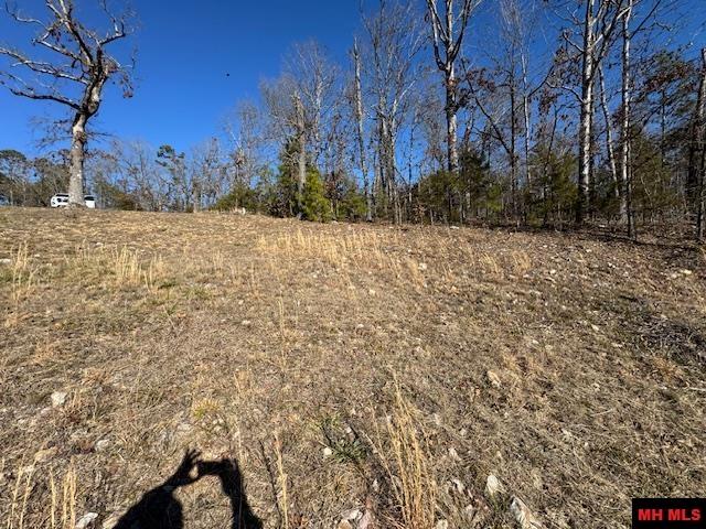 Lot 2 White Bluffs Court