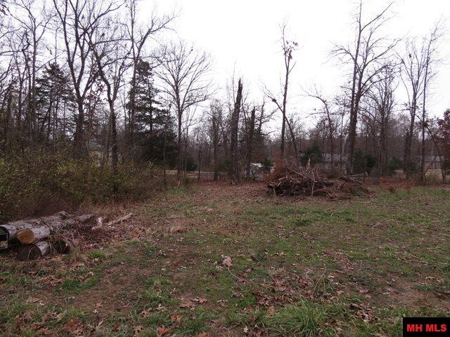 760-11982-000 Maple Avenue