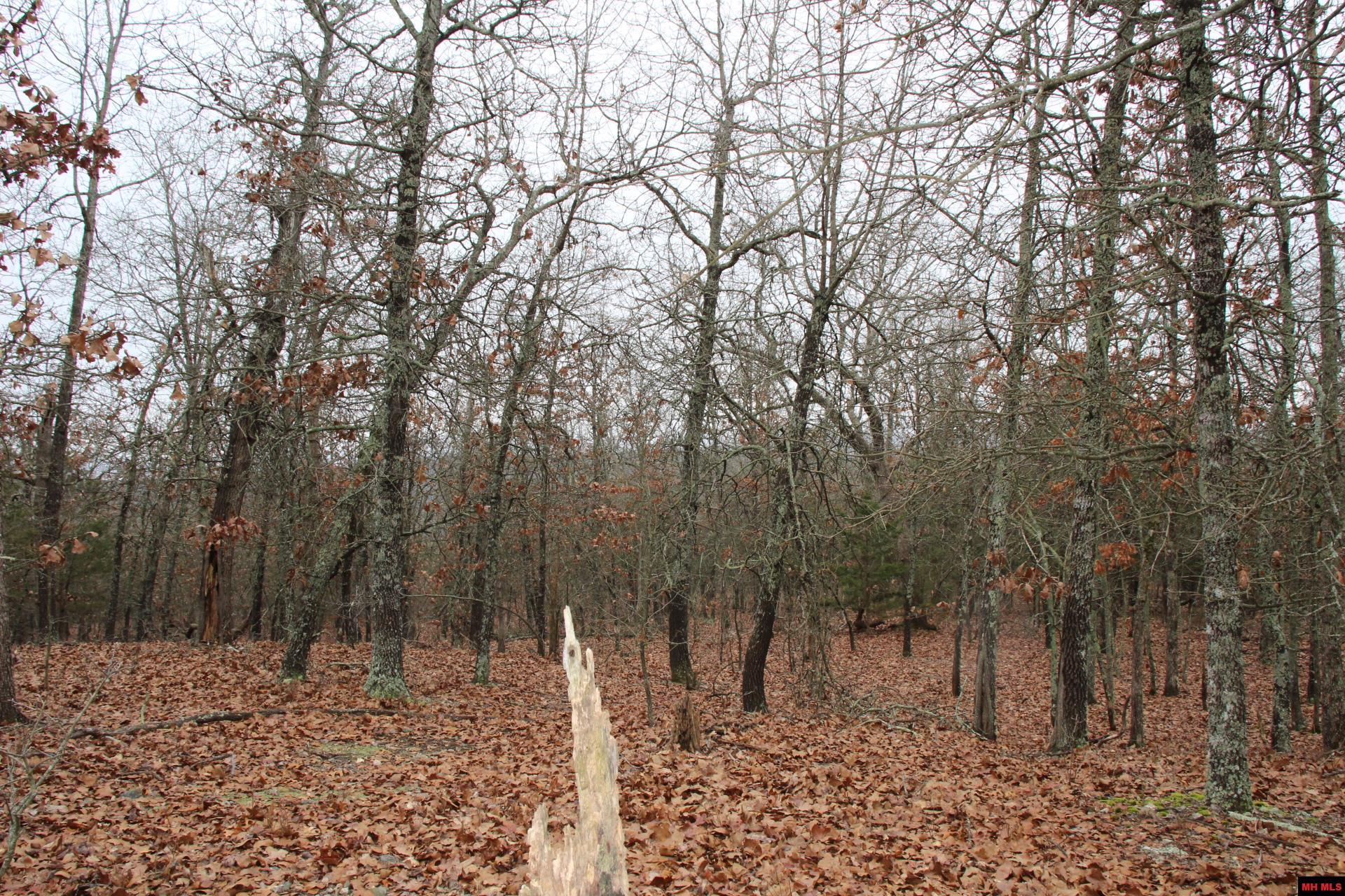 178 Round Robin Lane