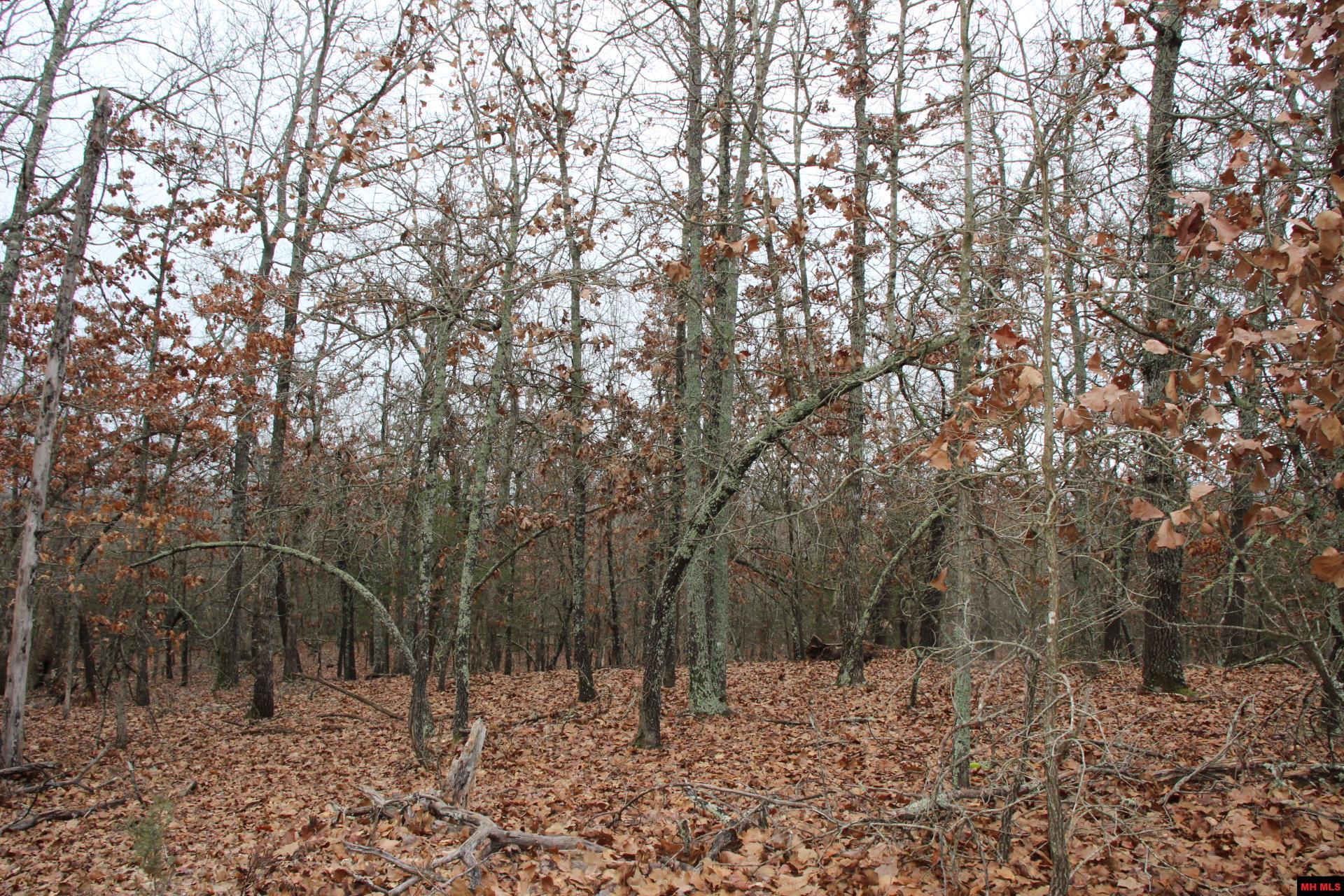 178 Round Robin Lane