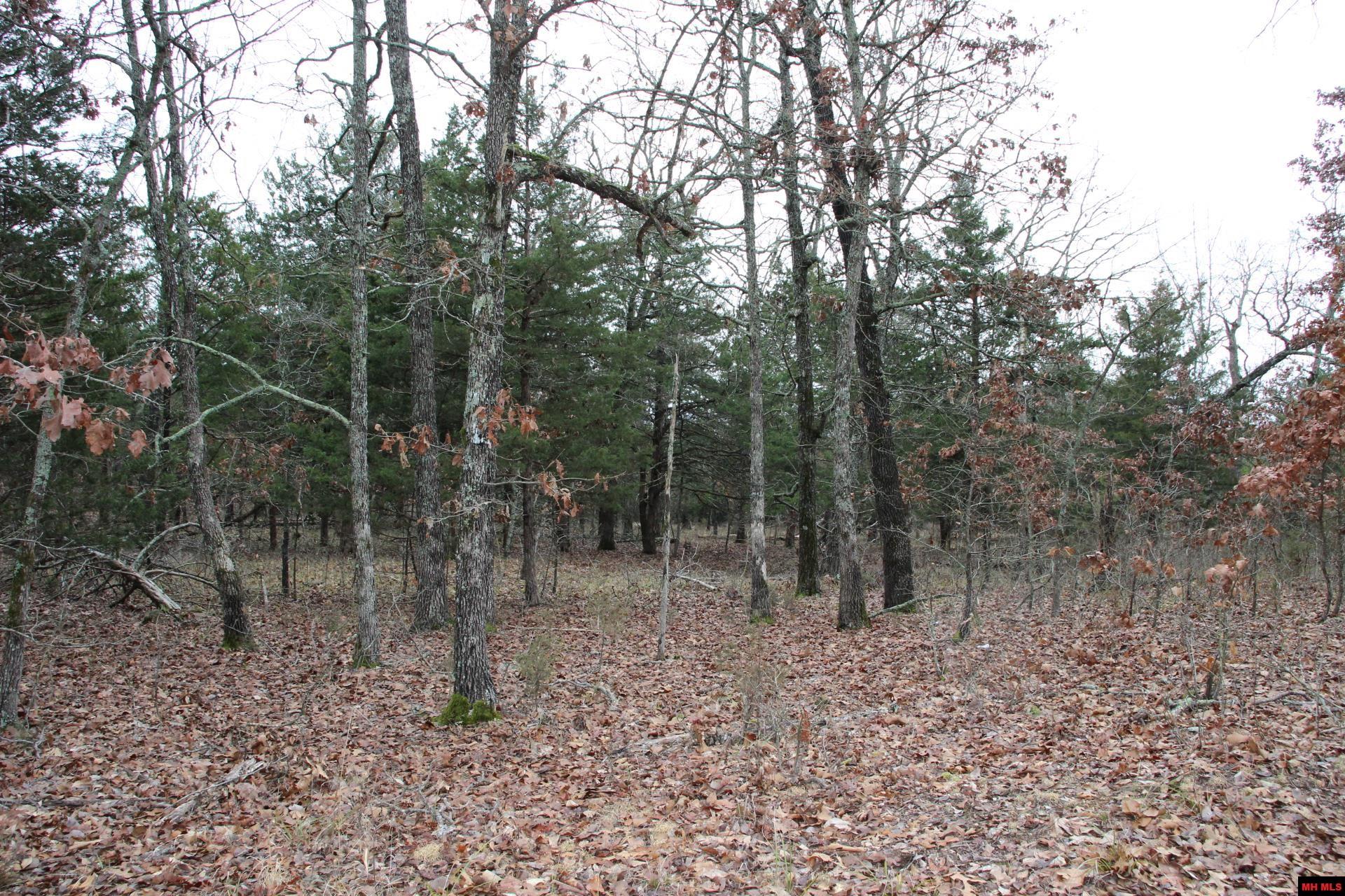 178 Round Robin Lane