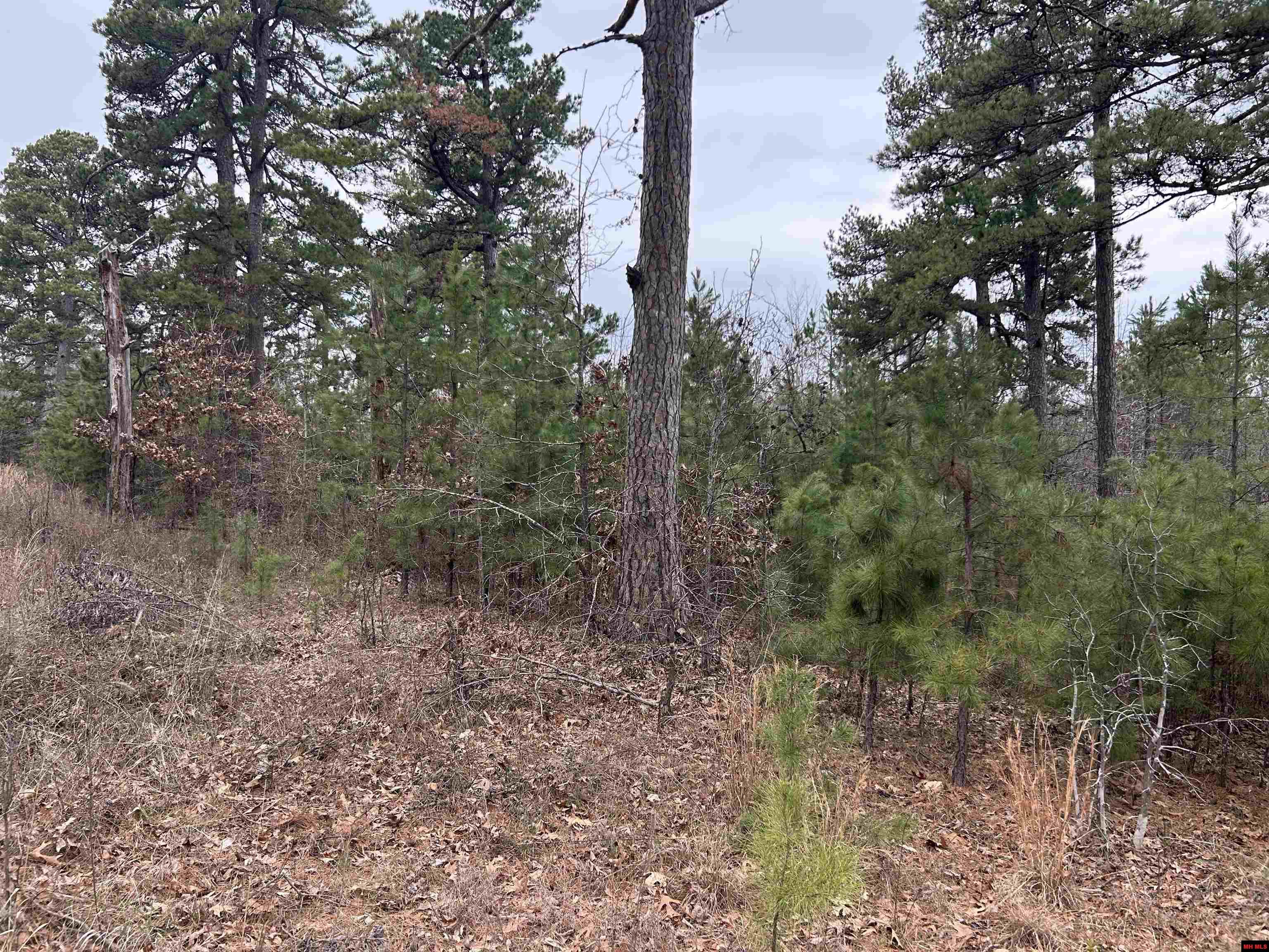 001-0197-000 Turkey Springs Road