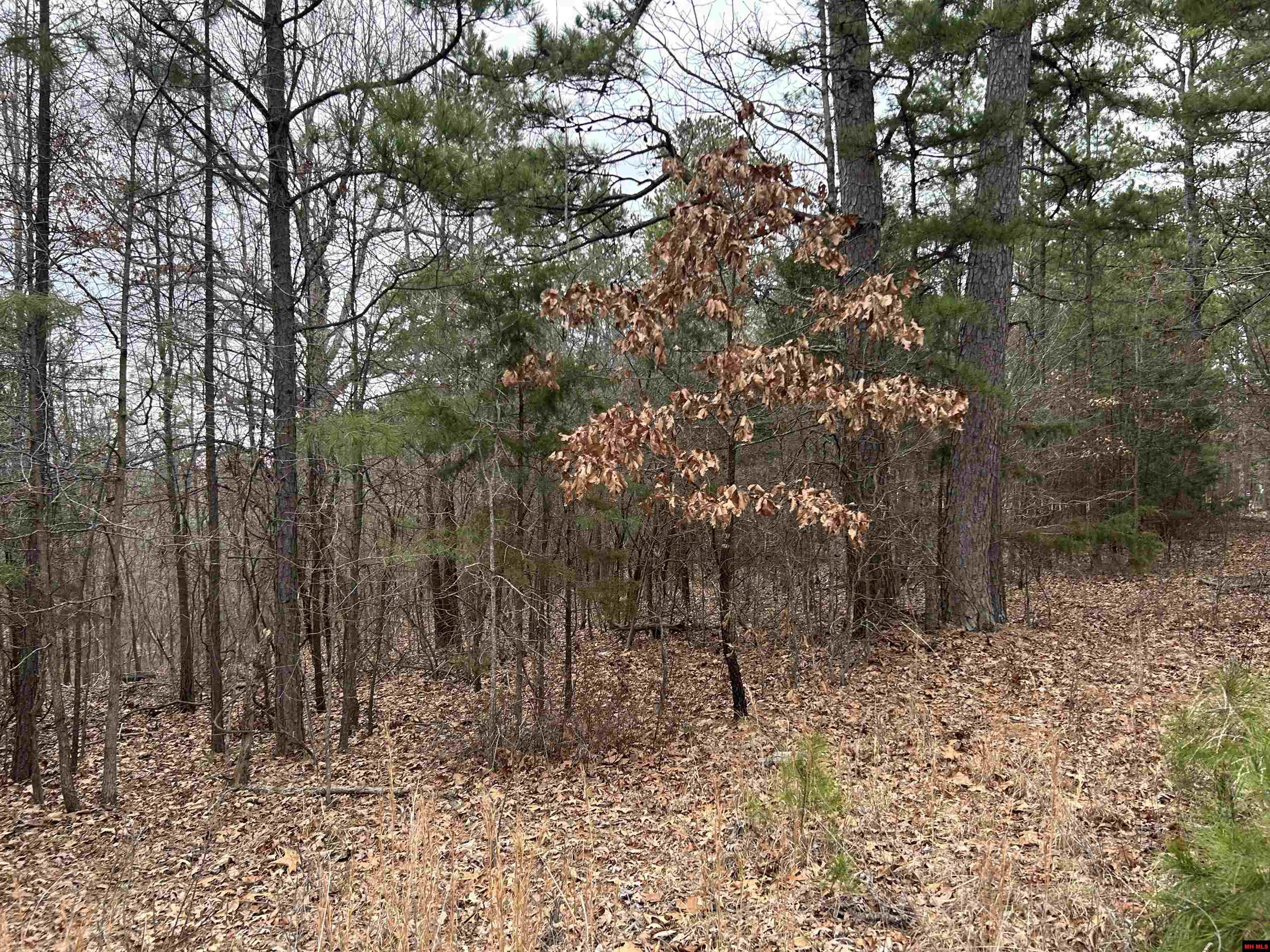 001-0197-000 Turkey Springs Road