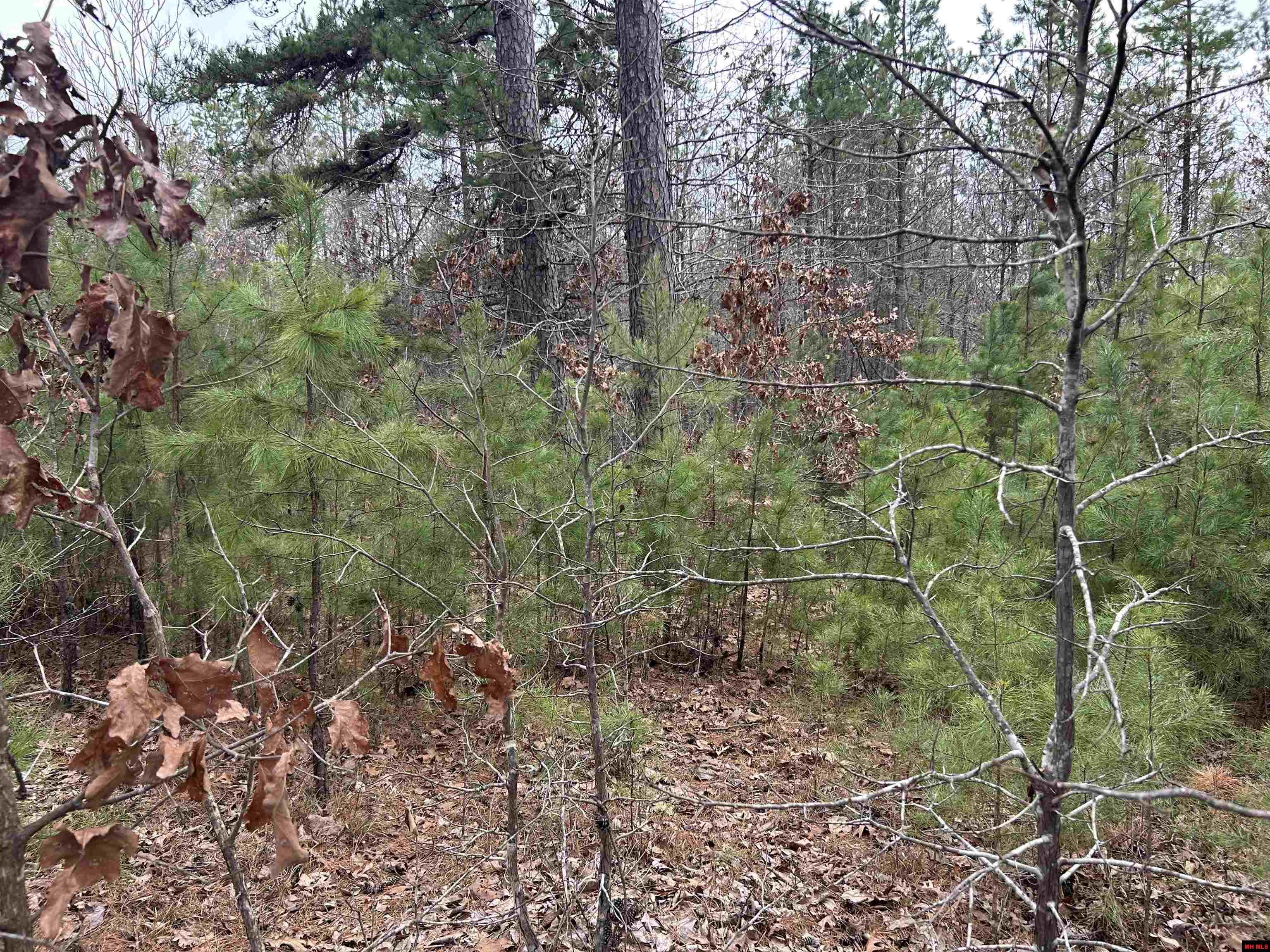 001-0197-000 Turkey Springs Road