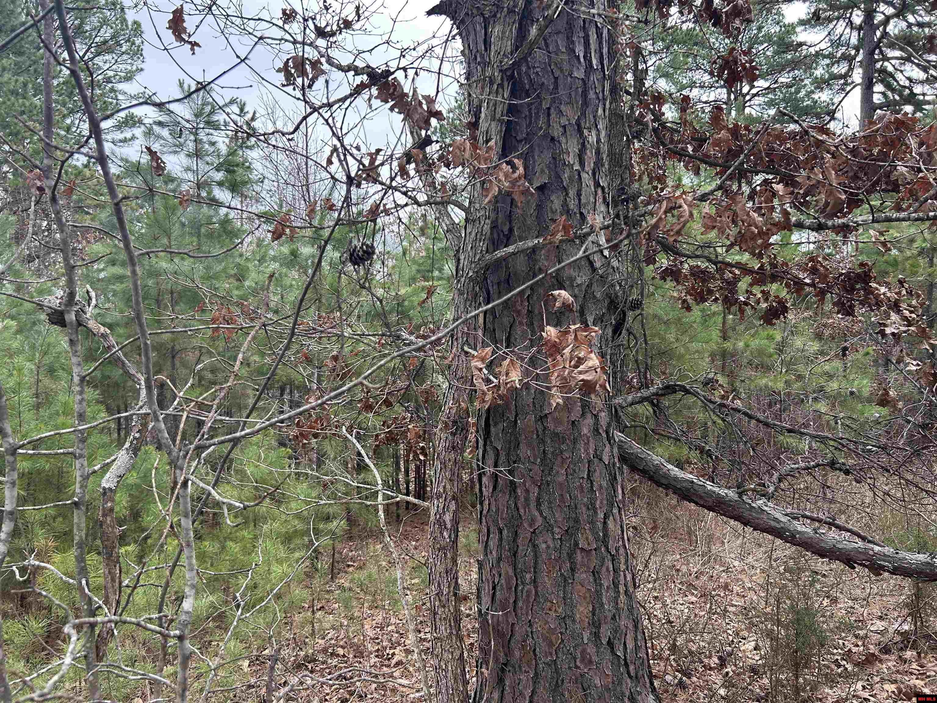 001-0197-000 Turkey Springs Road