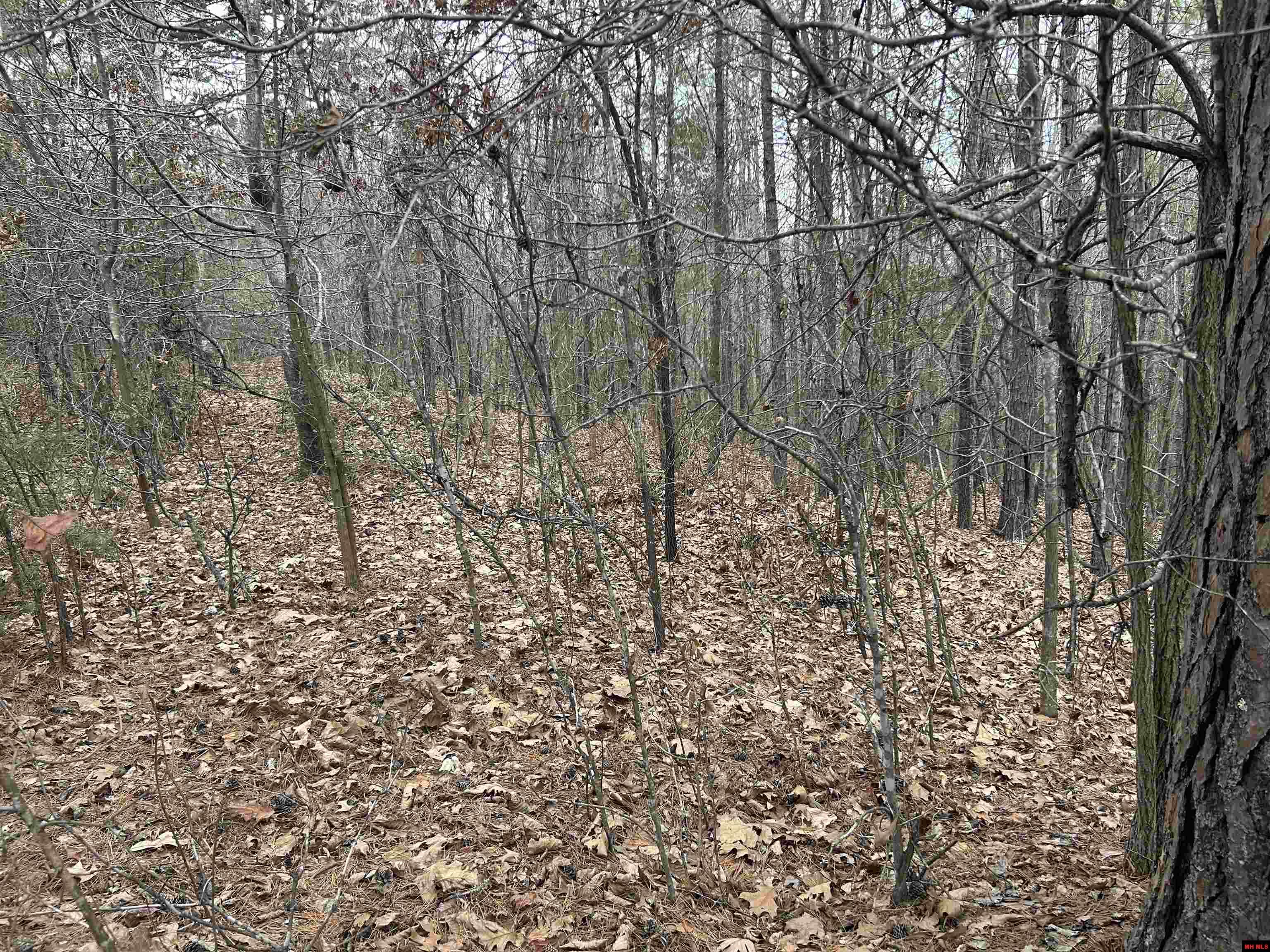 001-0197-000 Turkey Springs Road