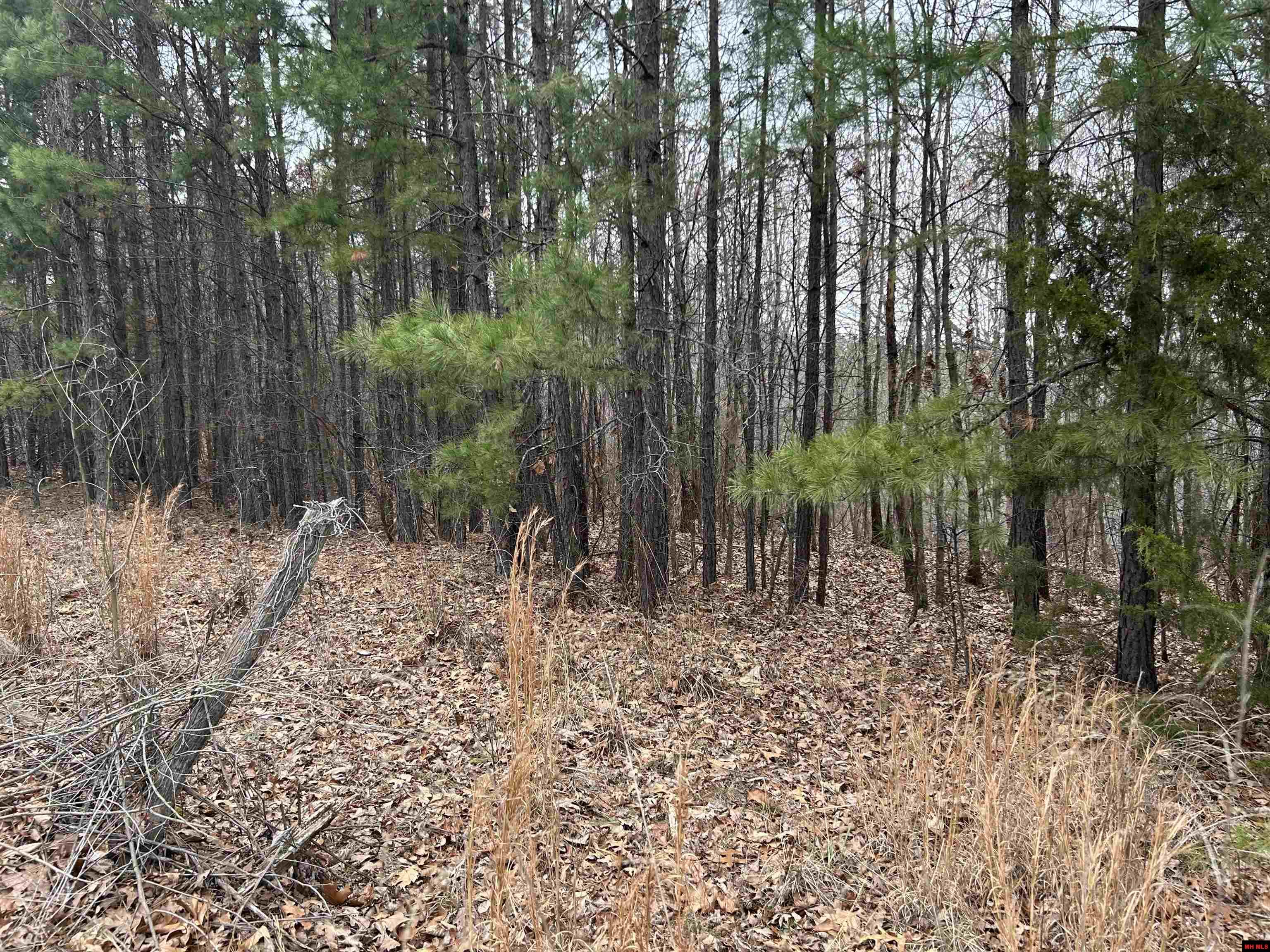 001-0197-000 Turkey Springs Road