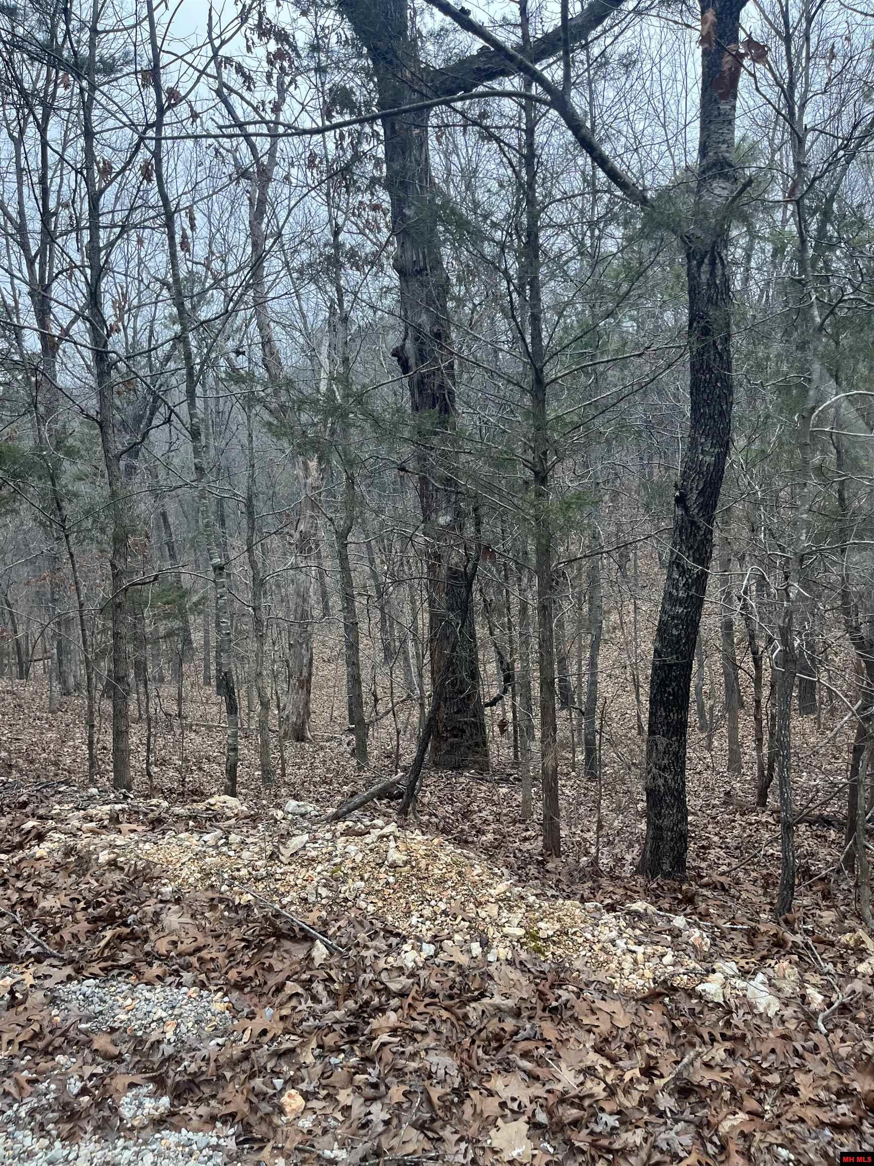 001-08910-007 Cr 8107