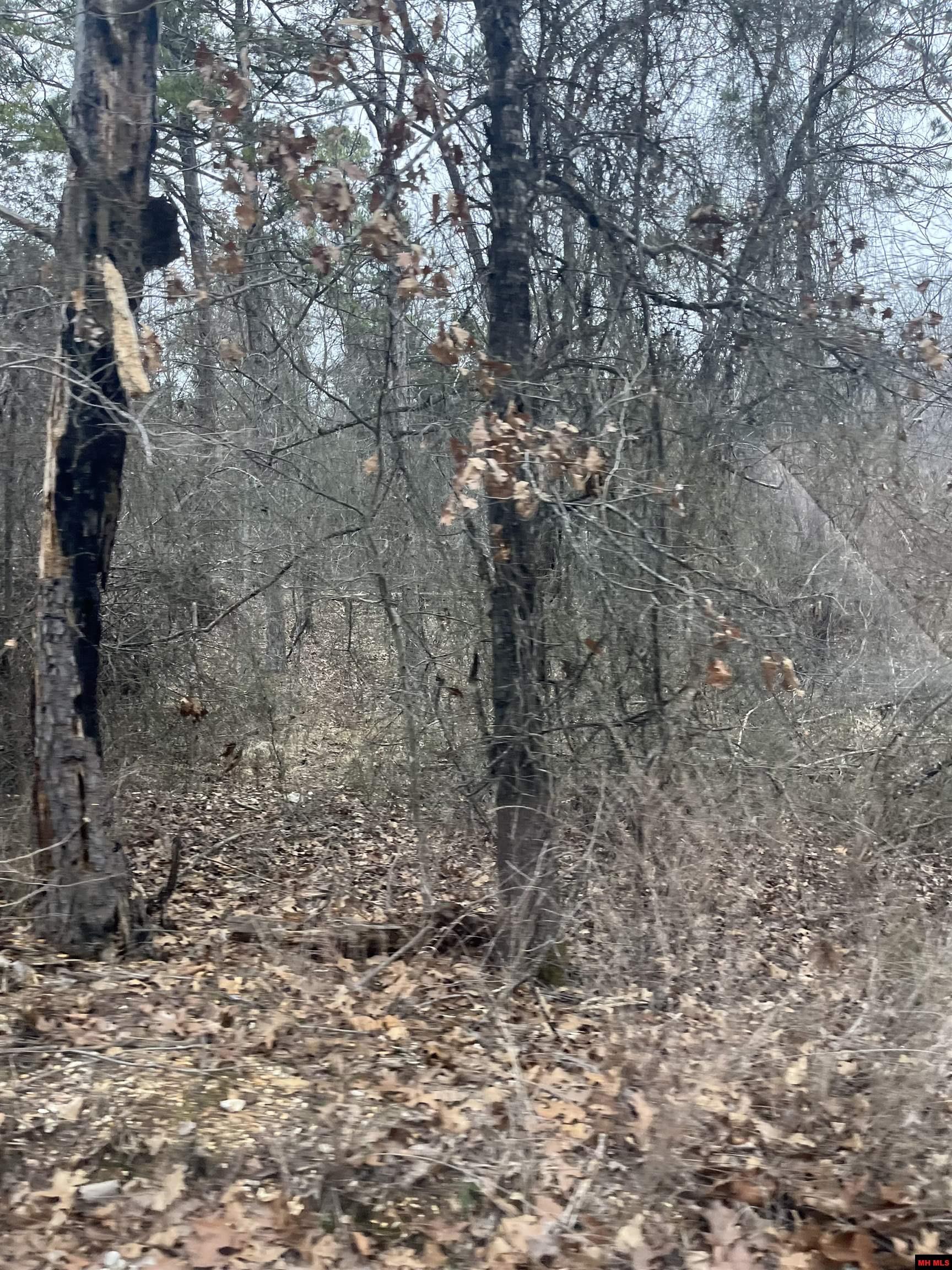 001-08910-007 Cr 8107