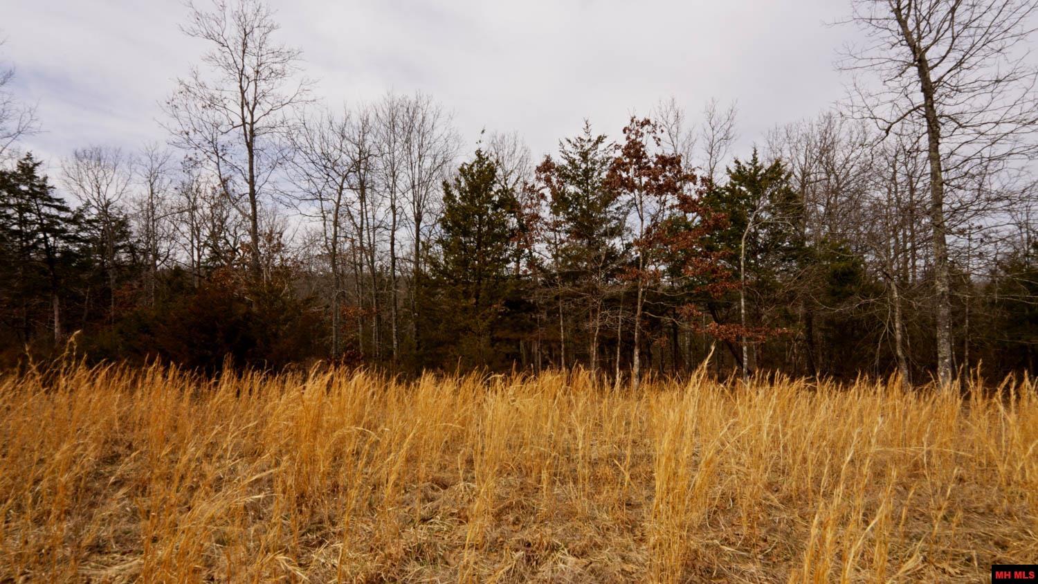 446-29043-000 Oakridge Drive